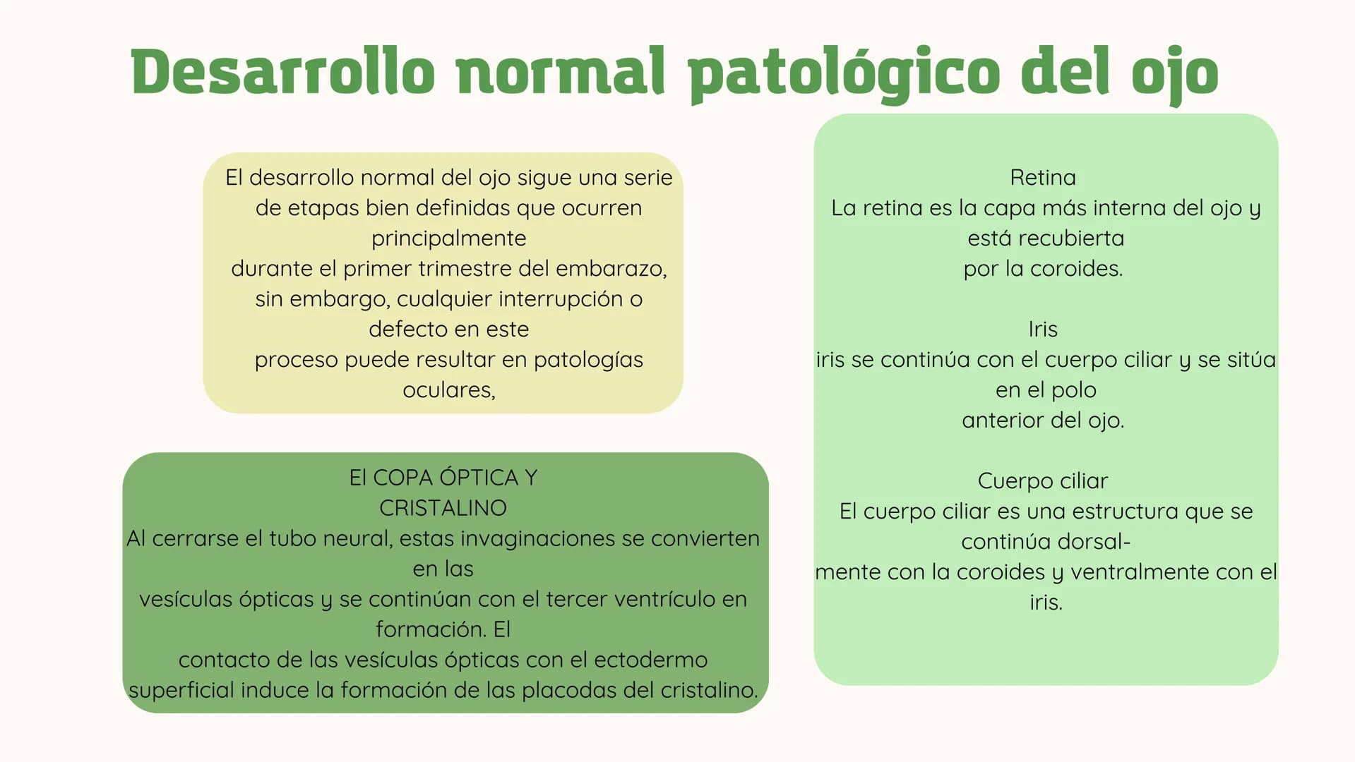 ## Universidad Olmeca
# FICHAS DE
# EMBRIOLOGIA
Alumna: Jaidy Michel Baeza Correa
Doctora: Yuli Bayona
XX
XX
←
X
X
←
< Gastrulación y neu