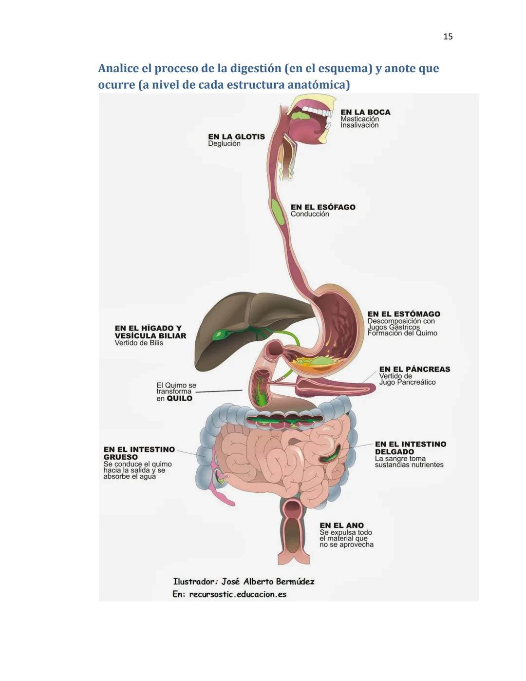 OBAEM C.E.M. PÁTZCUARO C.S.4
PORAFOLIOS DE EVIDENCIAS
CIENCIAS DE LA SALUD I
ESTUDIATE
DOCENTE: MARÍA ISABEL GONZÁLEZ ANDRADE
TEXTOS BÁSICOS