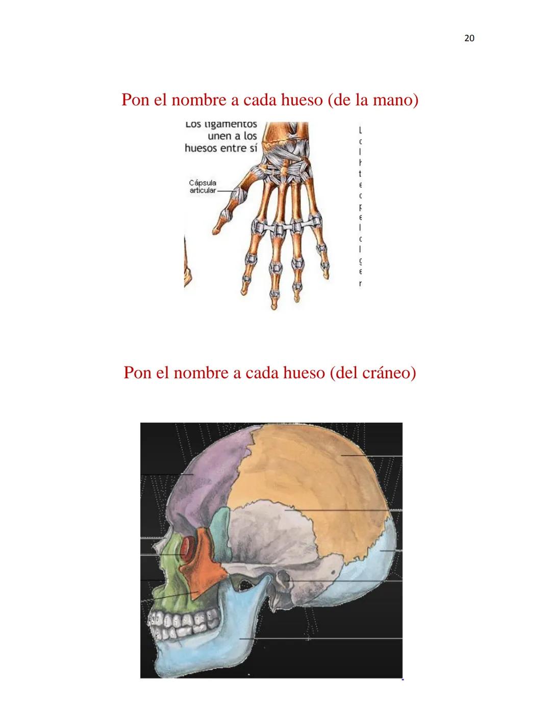 OBAEM C.E.M. PÁTZCUARO C.S.4
PORAFOLIOS DE EVIDENCIAS
CIENCIAS DE LA SALUD I
ESTUDIATE
DOCENTE: MARÍA ISABEL GONZÁLEZ ANDRADE
TEXTOS BÁSICOS