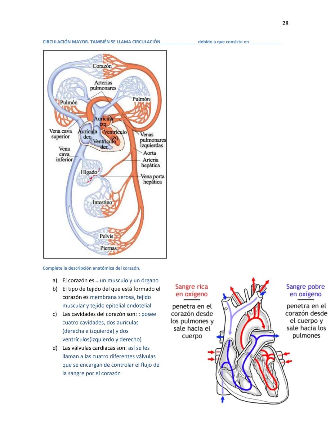 OBAEM C.E.M. PÁTZCUARO C.S.4
PORAFOLIOS DE EVIDENCIAS
CIENCIAS DE LA SALUD I
ESTUDIATE
DOCENTE: MARÍA ISABEL GONZÁLEZ ANDRADE
TEXTOS BÁSICOS