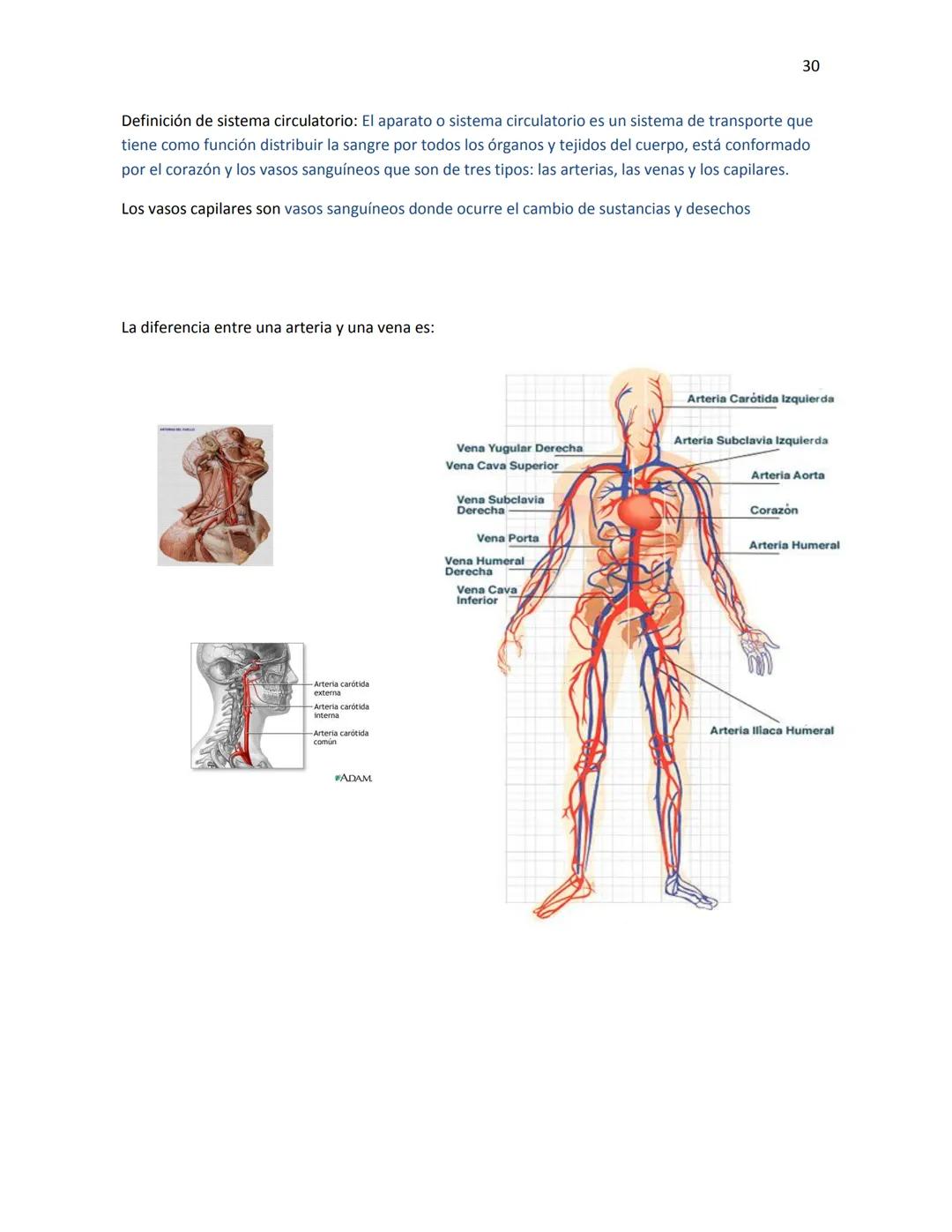 OBAEM C.E.M. PÁTZCUARO C.S.4
PORAFOLIOS DE EVIDENCIAS
CIENCIAS DE LA SALUD I
ESTUDIATE
DOCENTE: MARÍA ISABEL GONZÁLEZ ANDRADE
TEXTOS BÁSICOS