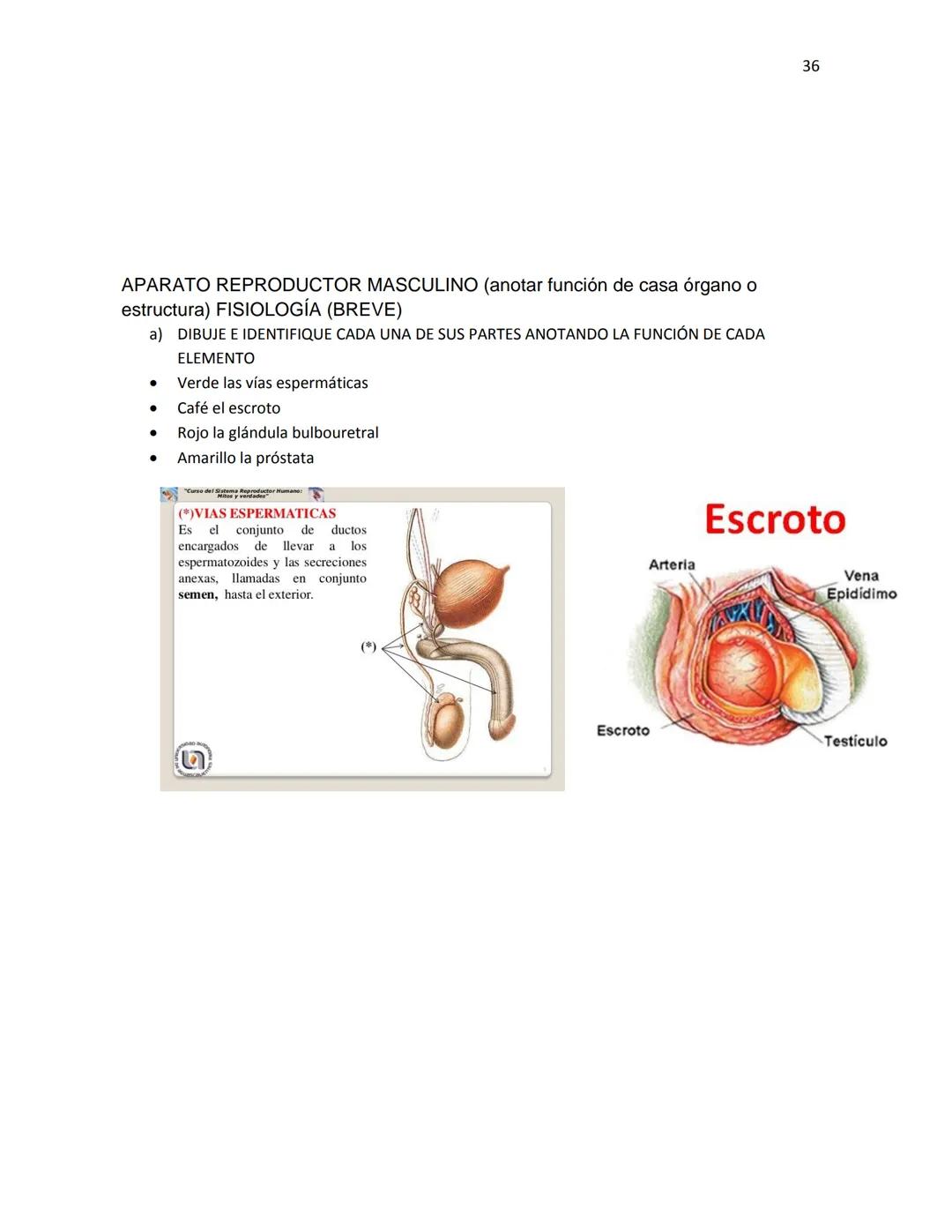 OBAEM C.E.M. PÁTZCUARO C.S.4
PORAFOLIOS DE EVIDENCIAS
CIENCIAS DE LA SALUD I
ESTUDIATE
DOCENTE: MARÍA ISABEL GONZÁLEZ ANDRADE
TEXTOS BÁSICOS