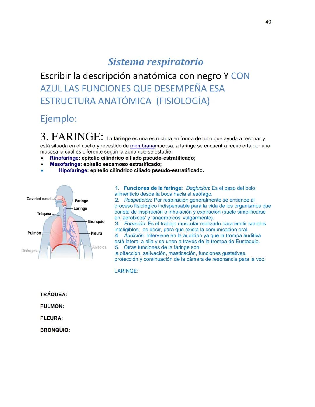 OBAEM C.E.M. PÁTZCUARO C.S.4
PORAFOLIOS DE EVIDENCIAS
CIENCIAS DE LA SALUD I
ESTUDIATE
DOCENTE: MARÍA ISABEL GONZÁLEZ ANDRADE
TEXTOS BÁSICOS