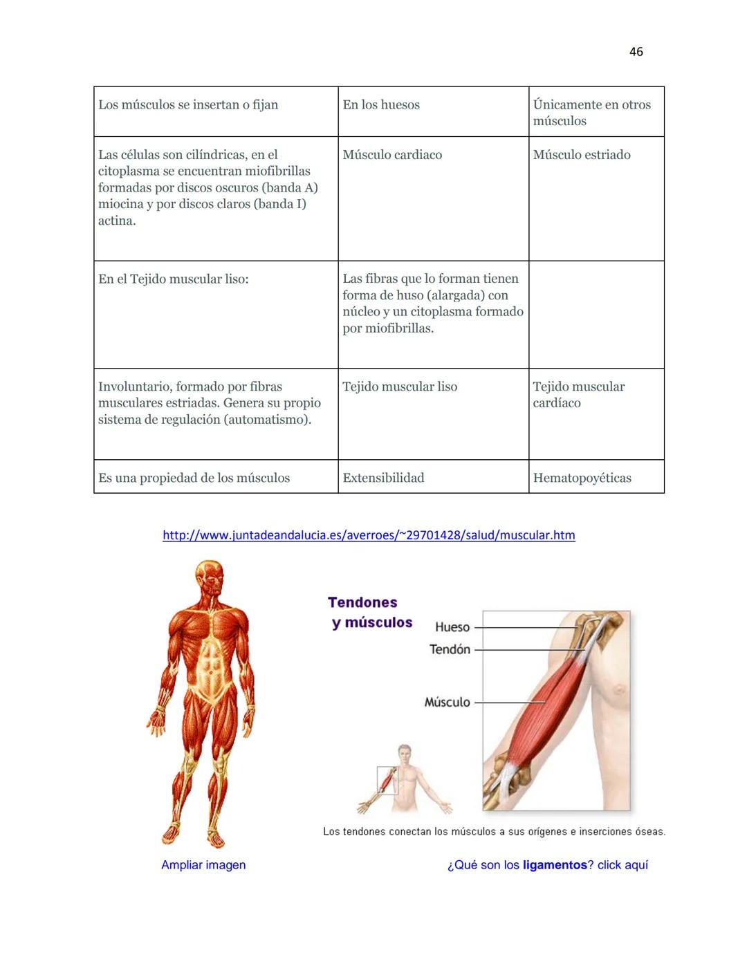 OBAEM C.E.M. PÁTZCUARO C.S.4
PORAFOLIOS DE EVIDENCIAS
CIENCIAS DE LA SALUD I
ESTUDIATE
DOCENTE: MARÍA ISABEL GONZÁLEZ ANDRADE
TEXTOS BÁSICOS