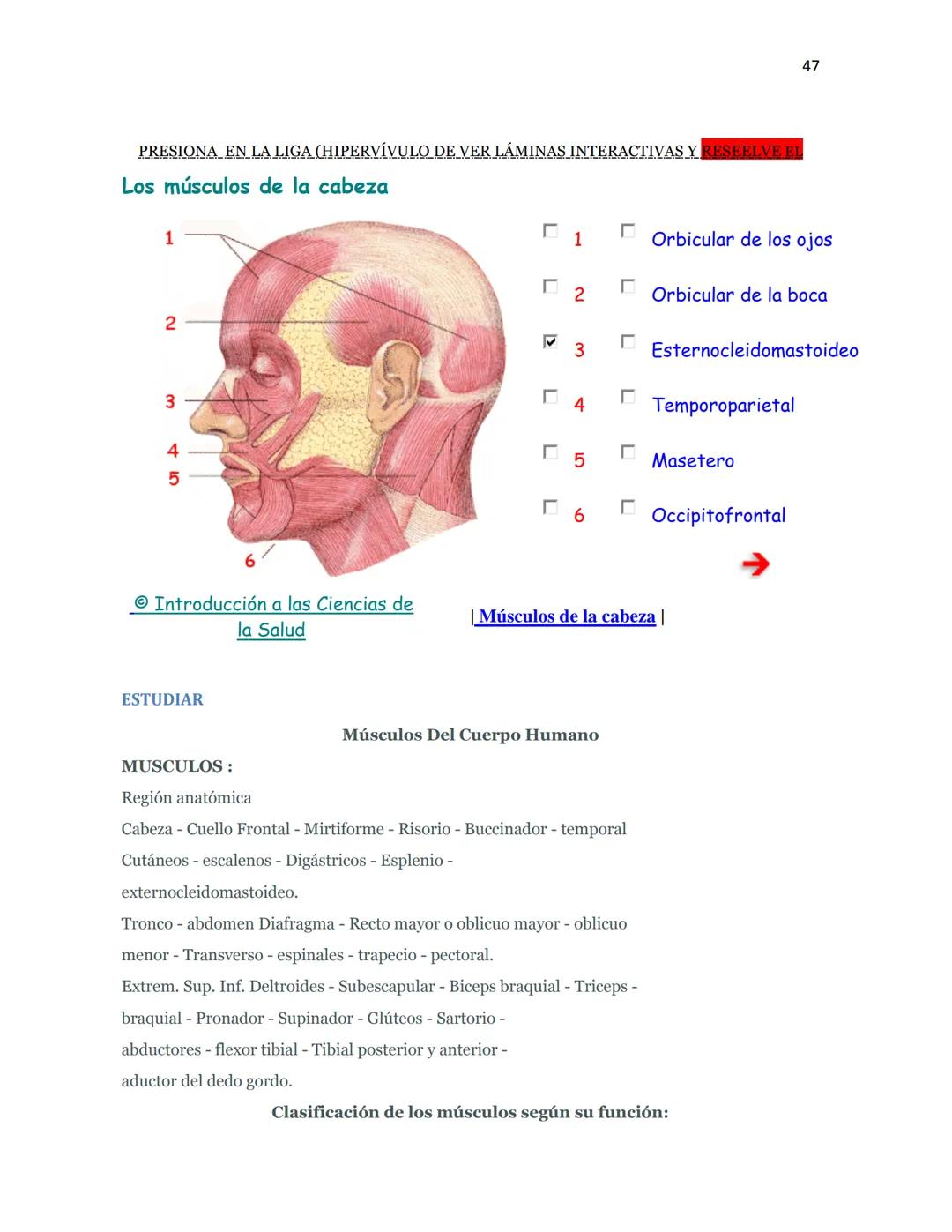 OBAEM C.E.M. PÁTZCUARO C.S.4
PORAFOLIOS DE EVIDENCIAS
CIENCIAS DE LA SALUD I
ESTUDIATE
DOCENTE: MARÍA ISABEL GONZÁLEZ ANDRADE
TEXTOS BÁSICOS