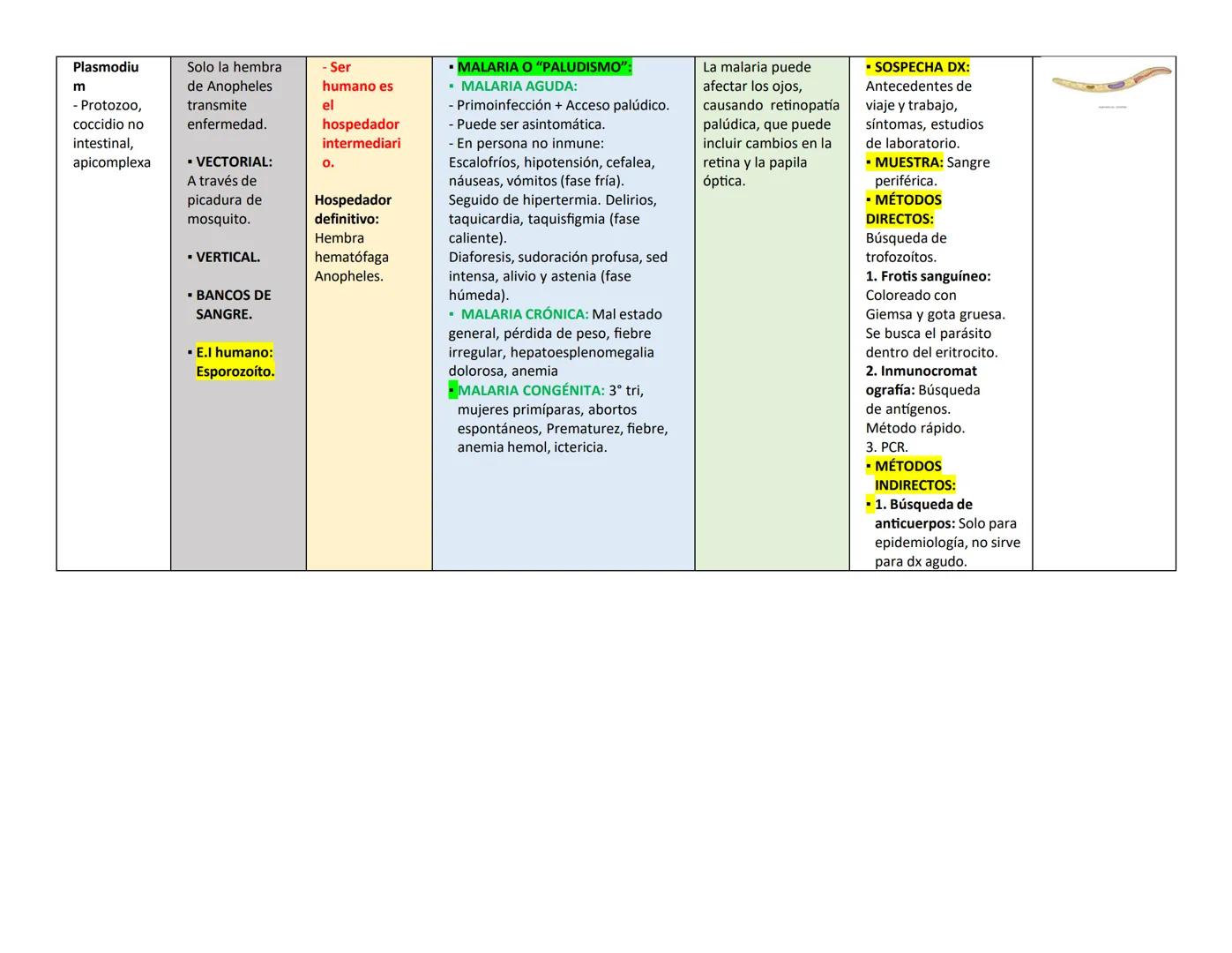 ## PARÁSITO/H TRASMISIÓN Y HOSPEDADOR CLÍNICA LESIONES EN OJO DIAGNÓSTICO PARÁSITO
ongo ELEMENTO
INFECTANTE
ES
(E.I)
Naegleria
fowle