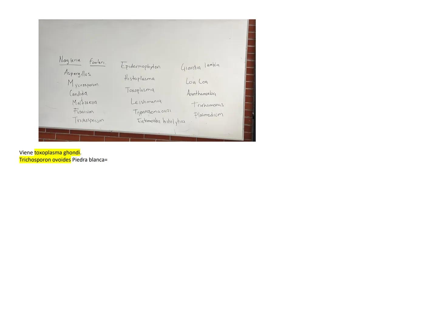 ## PARÁSITO/H TRASMISIÓN Y HOSPEDADOR CLÍNICA LESIONES EN OJO DIAGNÓSTICO PARÁSITO
ongo ELEMENTO
INFECTANTE
ES
(E.I)
Naegleria
fowle