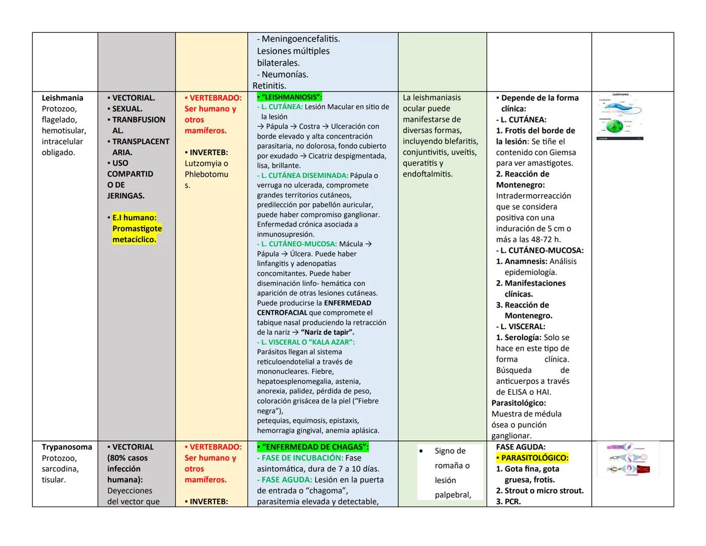 ## PARÁSITO/H TRASMISIÓN Y HOSPEDADOR CLÍNICA LESIONES EN OJO DIAGNÓSTICO PARÁSITO
ongo ELEMENTO
INFECTANTE
ES
(E.I)
Naegleria
fowle