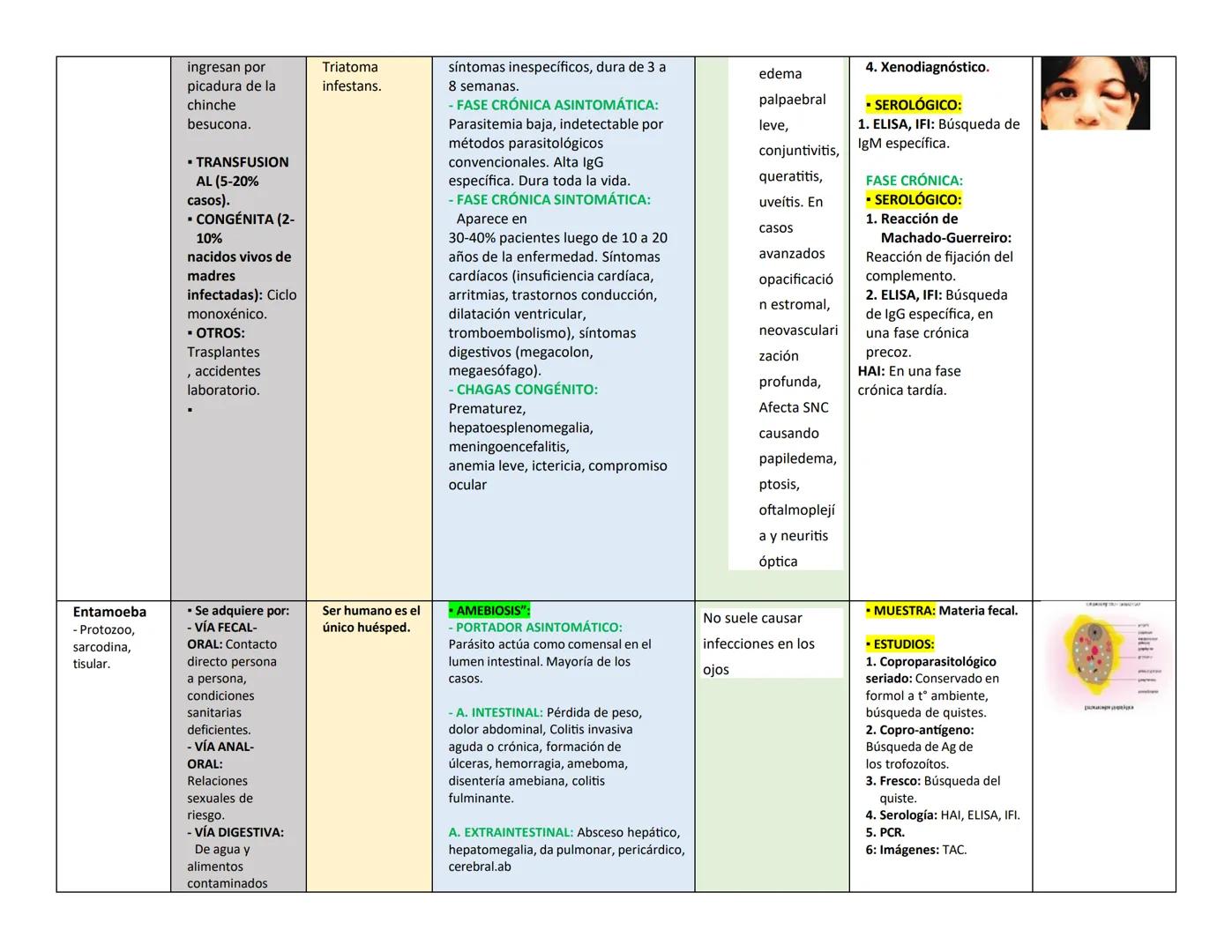 ## PARÁSITO/H TRASMISIÓN Y HOSPEDADOR CLÍNICA LESIONES EN OJO DIAGNÓSTICO PARÁSITO
ongo ELEMENTO
INFECTANTE
ES
(E.I)
Naegleria
fowle