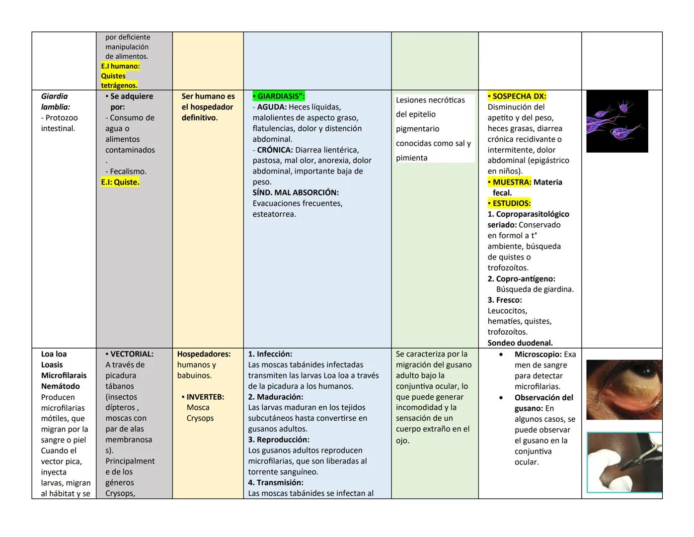 ## PARÁSITO/H TRASMISIÓN Y HOSPEDADOR CLÍNICA LESIONES EN OJO DIAGNÓSTICO PARÁSITO
ongo ELEMENTO
INFECTANTE
ES
(E.I)
Naegleria
fowle
