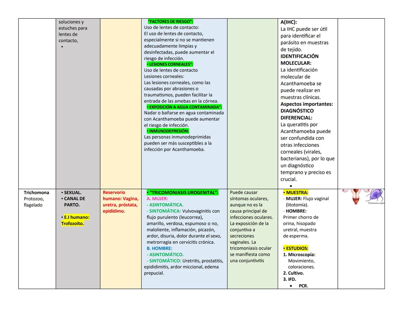 ## PARÁSITO/H TRASMISIÓN Y HOSPEDADOR CLÍNICA LESIONES EN OJO DIAGNÓSTICO PARÁSITO
ongo ELEMENTO
INFECTANTE
ES
(E.I)
Naegleria
fowle