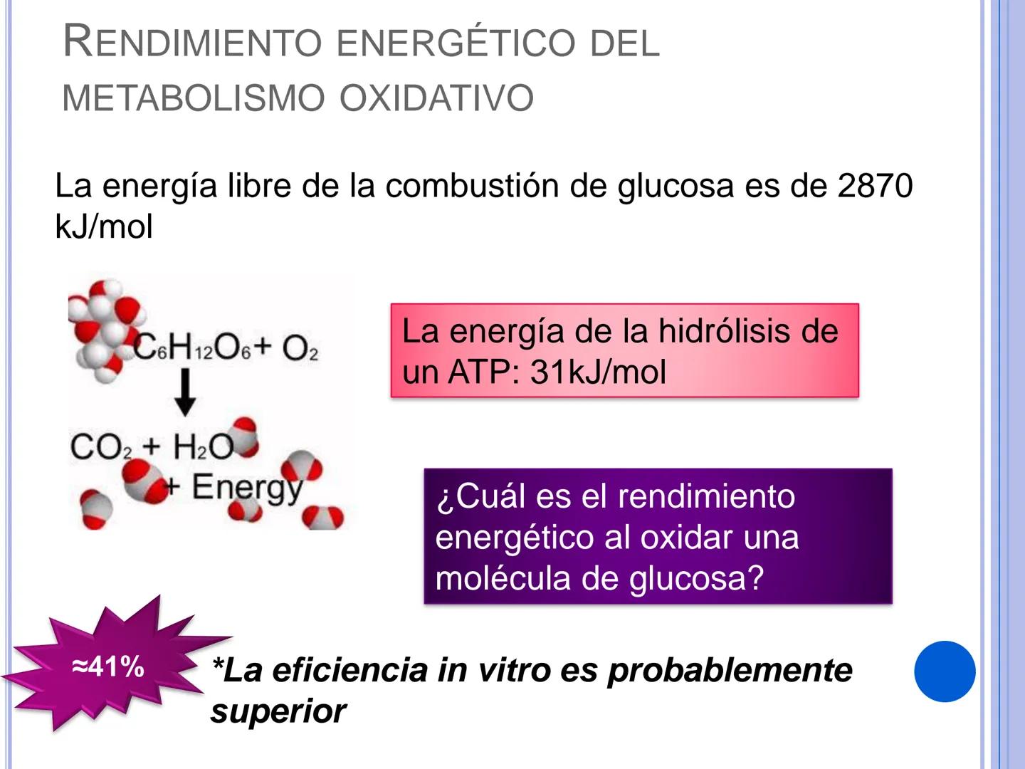 # CADENA
# RESPIRATORIA CADENA RESPIRATORIA
• El metabolismo aerobio del piruvato genera
equivalentes reductores.
NADH
H
NAD
NADH
FAD
2e
FAD