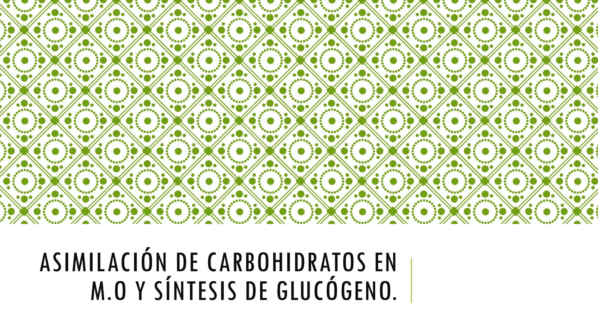 # CADENA
# RESPIRATORIA CADENA RESPIRATORIA
• El metabolismo aerobio del piruvato genera
equivalentes reductores.
NADH
H
NAD
NADH
FAD
2e
FAD