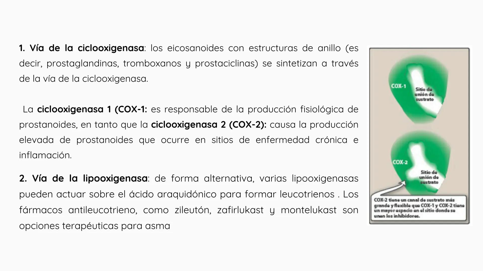 +
+
FARMACOLOGIA
ANTIINFLAMATORIOS, ANTIPÉRITICOS Y
ANALGESICOS
DIAZ JIMENEZ XTARENCA ESMERALDA
no puelo toy
inflamado
+
+ ¿QUÉ ES LA IN