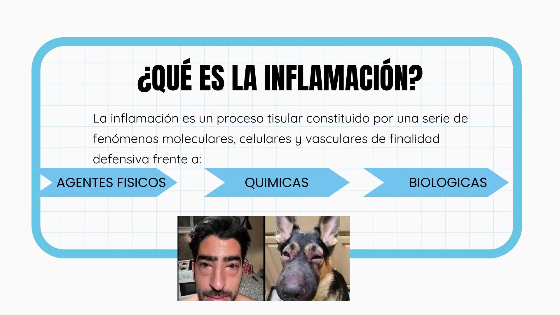 +
+
FARMACOLOGIA
ANTIINFLAMATORIOS, ANTIPÉRITICOS Y
ANALGESICOS
DIAZ JIMENEZ XTARENCA ESMERALDA
no puelo toy
inflamado
+
+ ¿QUÉ ES LA IN