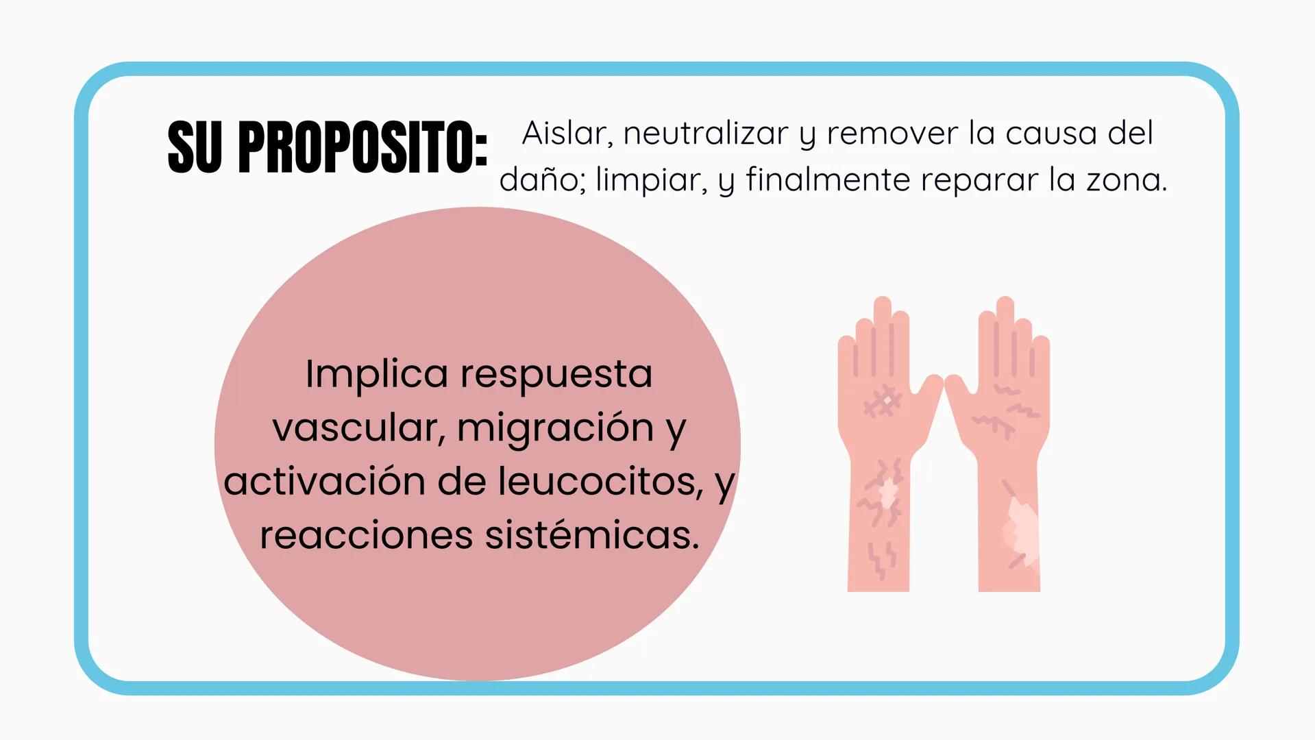 +
+
FARMACOLOGIA
ANTIINFLAMATORIOS, ANTIPÉRITICOS Y
ANALGESICOS
DIAZ JIMENEZ XTARENCA ESMERALDA
no puelo toy
inflamado
+
+ ¿QUÉ ES LA IN