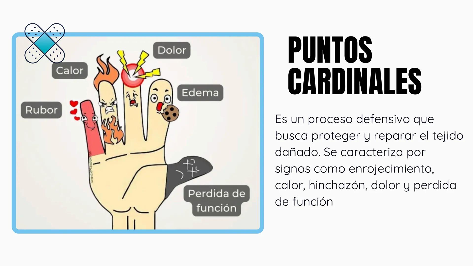 +
+
FARMACOLOGIA
ANTIINFLAMATORIOS, ANTIPÉRITICOS Y
ANALGESICOS
DIAZ JIMENEZ XTARENCA ESMERALDA
no puelo toy
inflamado
+
+ ¿QUÉ ES LA IN