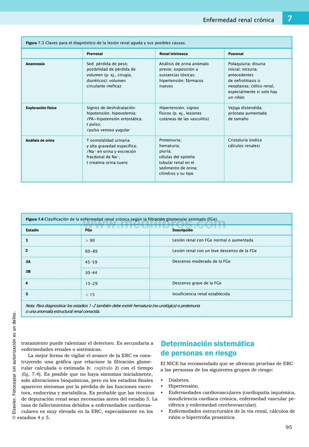 CIENCIAS BÁSICAS
4ª edición
CURSOS CRASH
Editor de la colección Dan Horton-Szar
Asesor académico: Kevin Harris
Lo esencial en
Sistema renal