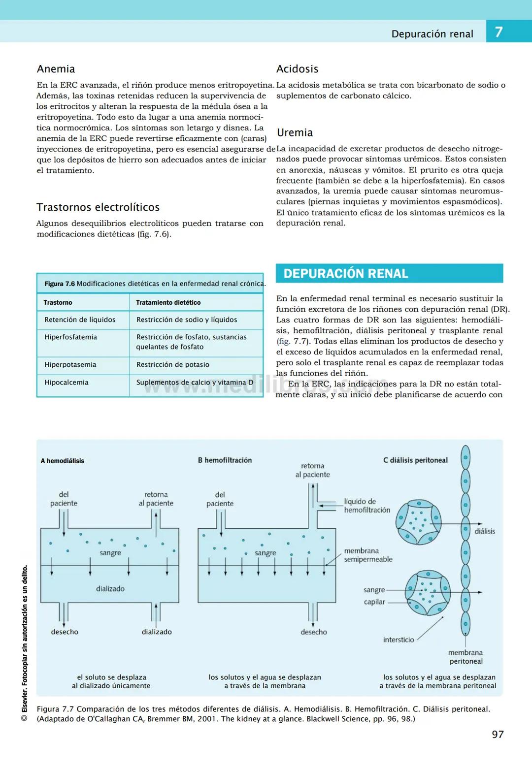 CIENCIAS BÁSICAS
4ª edición
CURSOS CRASH
Editor de la colección Dan Horton-Szar
Asesor académico: Kevin Harris
Lo esencial en
Sistema renal