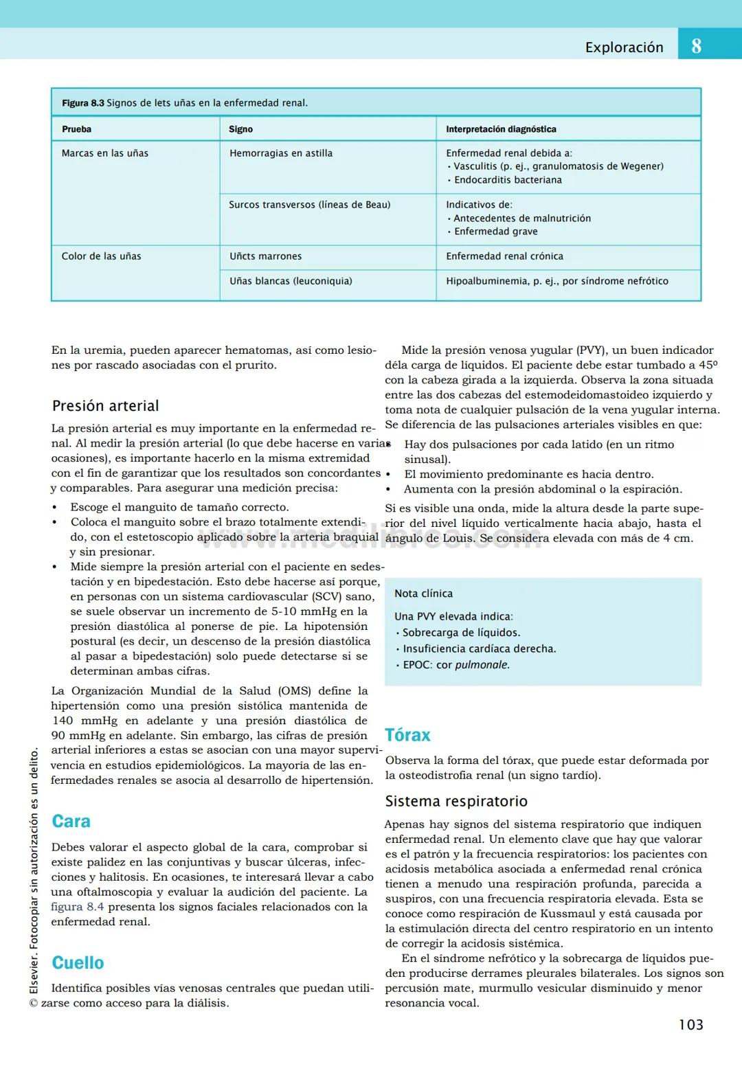 CIENCIAS BÁSICAS
4ª edición
CURSOS CRASH
Editor de la colección Dan Horton-Szar
Asesor académico: Kevin Harris
Lo esencial en
Sistema renal
