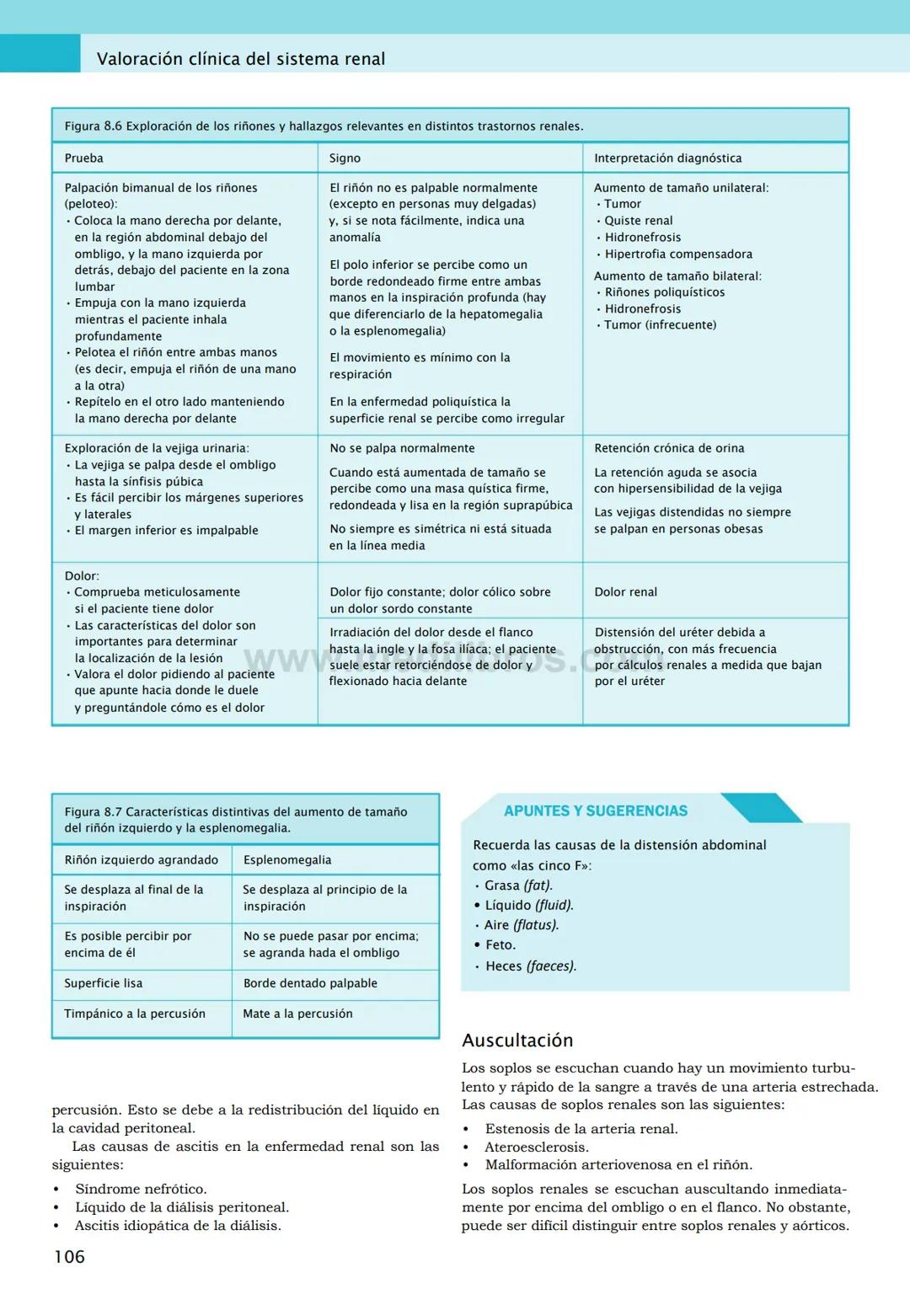 CIENCIAS BÁSICAS
4ª edición
CURSOS CRASH
Editor de la colección Dan Horton-Szar
Asesor académico: Kevin Harris
Lo esencial en
Sistema renal