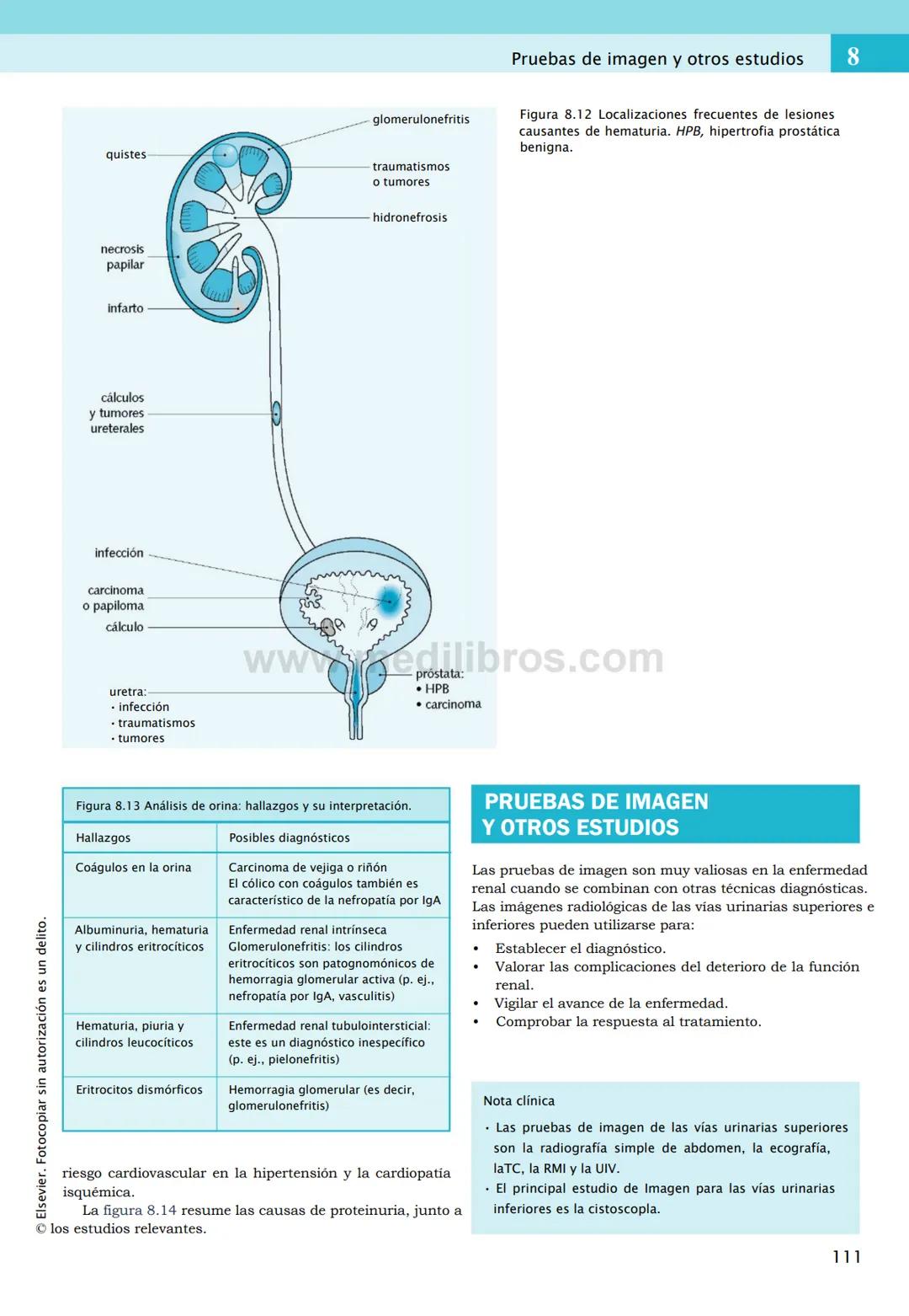 CIENCIAS BÁSICAS
4ª edición
CURSOS CRASH
Editor de la colección Dan Horton-Szar
Asesor académico: Kevin Harris
Lo esencial en
Sistema renal