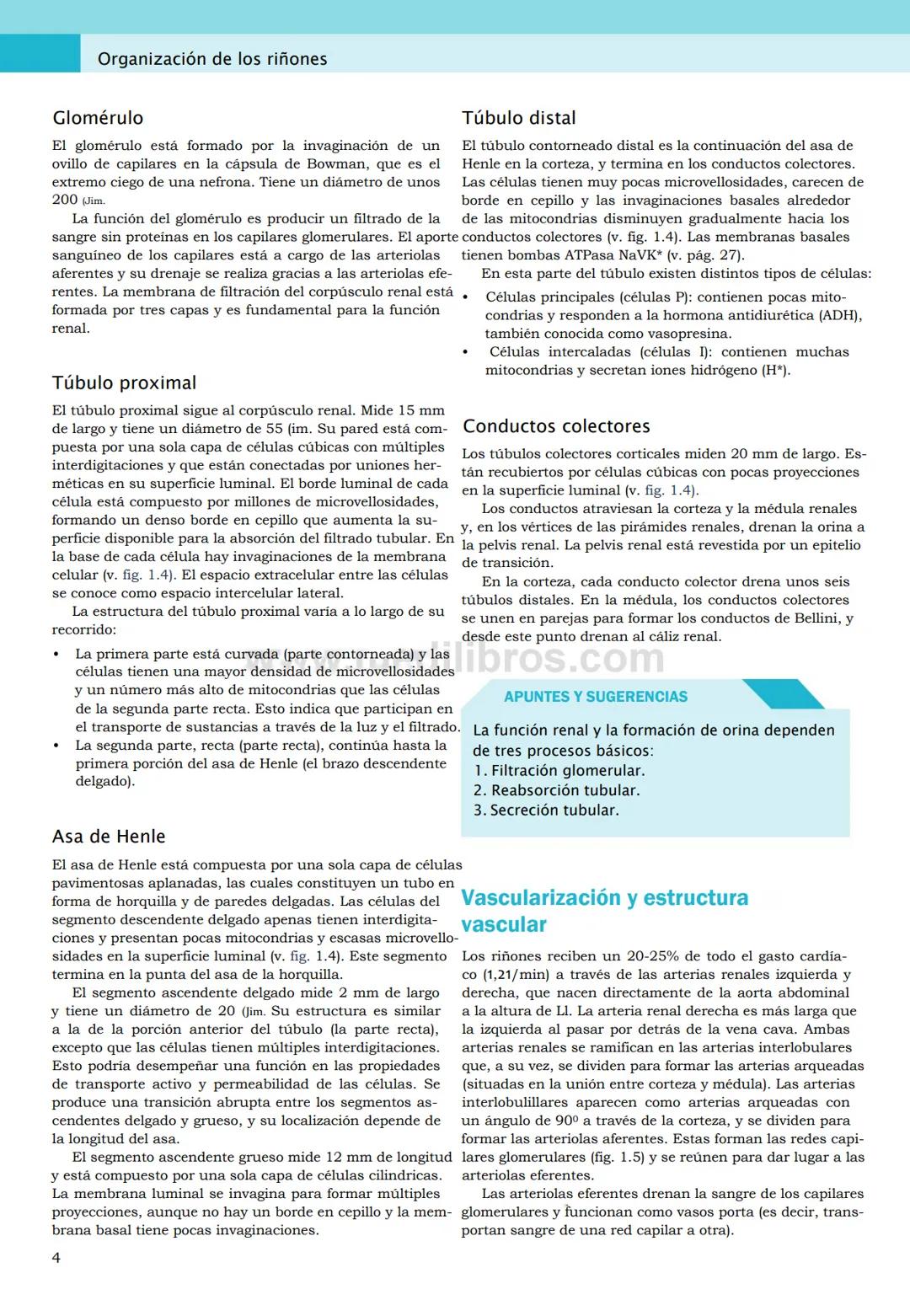CIENCIAS BÁSICAS
4ª edición
CURSOS CRASH
Editor de la colección Dan Horton-Szar
Asesor académico: Kevin Harris
Lo esencial en
Sistema renal