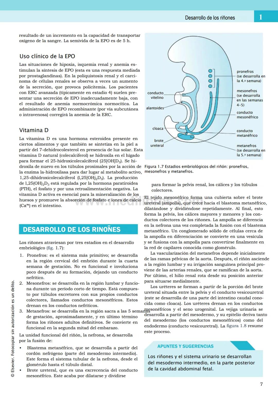 CIENCIAS BÁSICAS
4ª edición
CURSOS CRASH
Editor de la colección Dan Horton-Szar
Asesor académico: Kevin Harris
Lo esencial en
Sistema renal