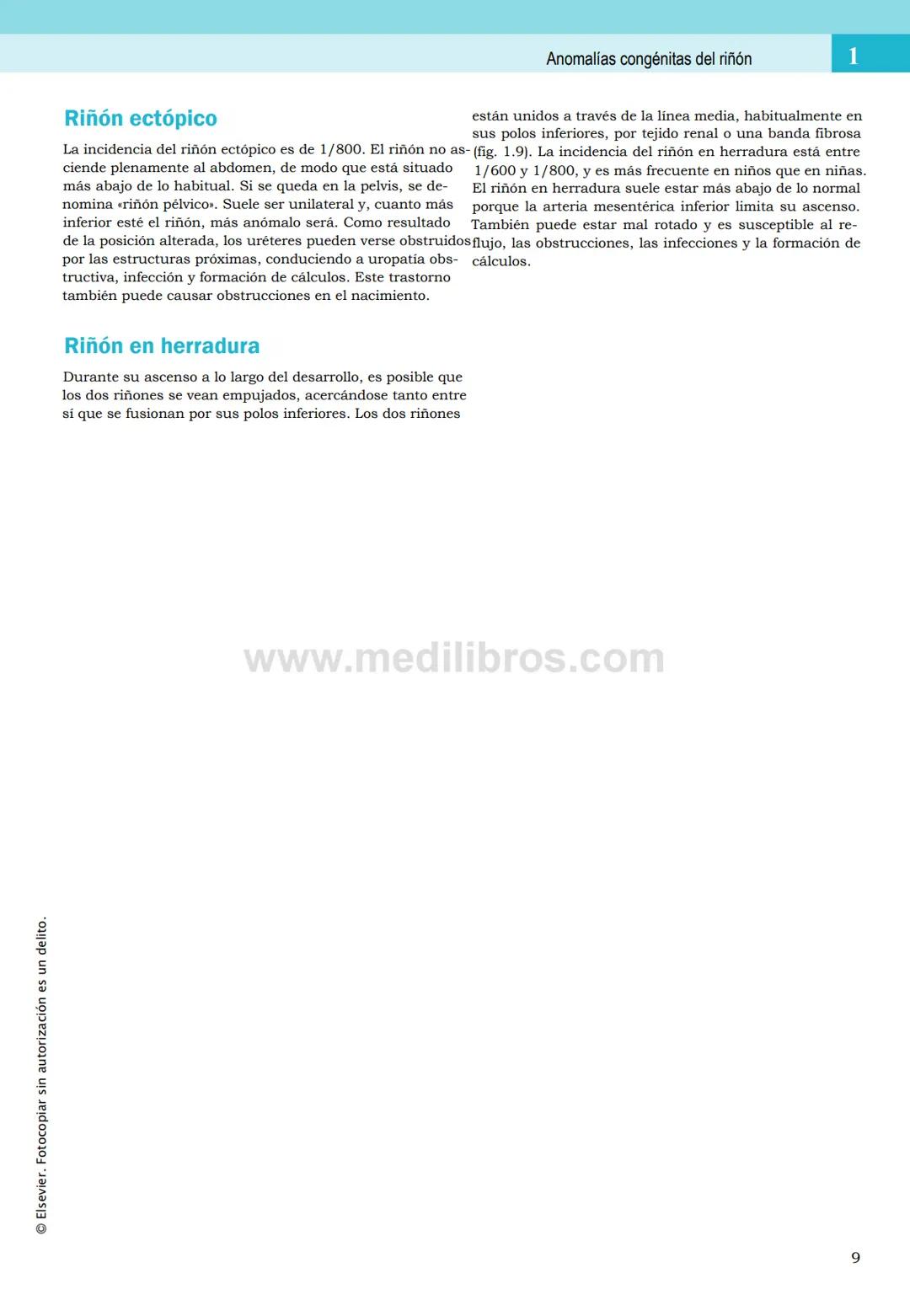 CIENCIAS BÁSICAS
4ª edición
CURSOS CRASH
Editor de la colección Dan Horton-Szar
Asesor académico: Kevin Harris
Lo esencial en
Sistema renal