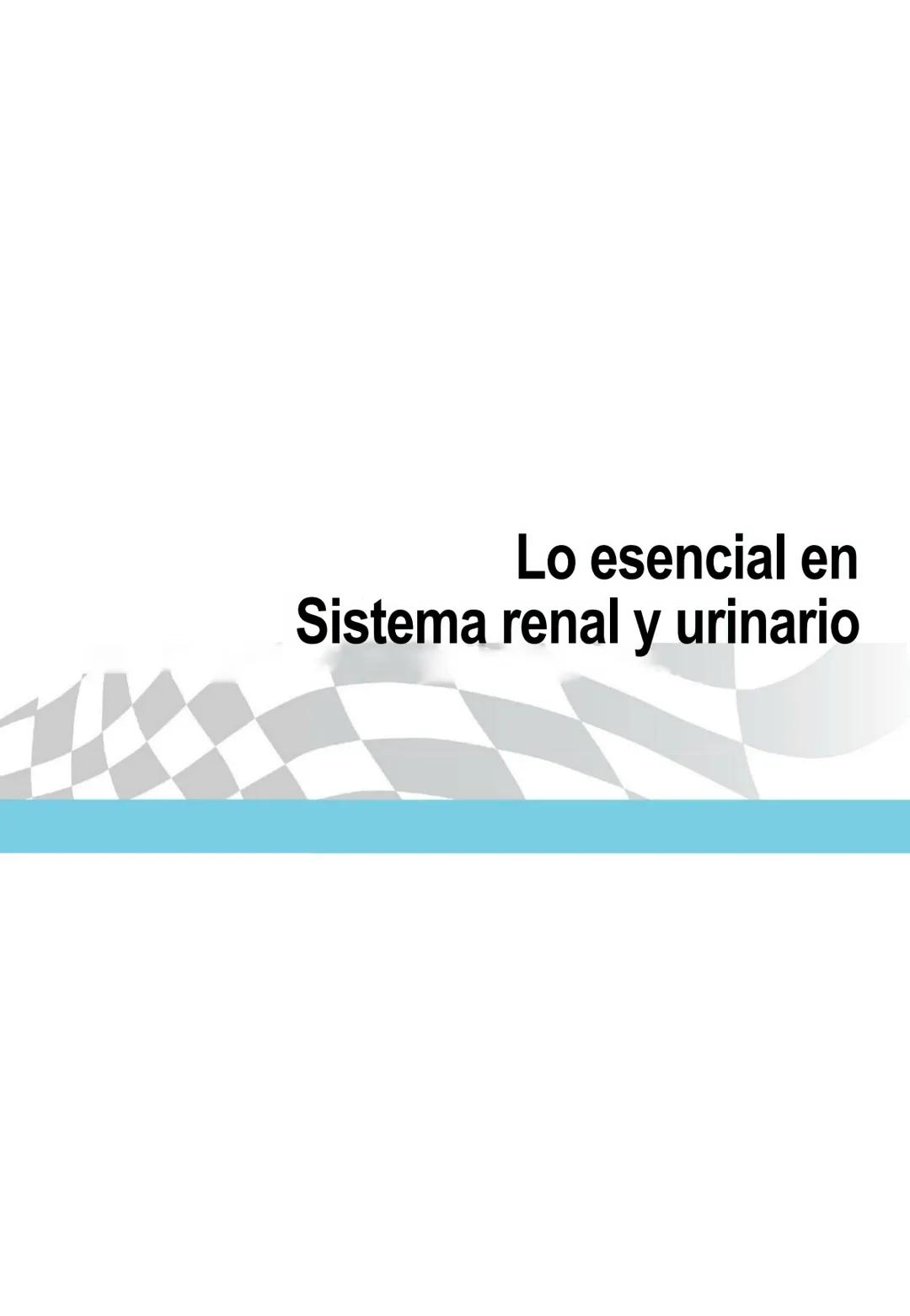 CIENCIAS BÁSICAS
4ª edición
CURSOS CRASH
Editor de la colección Dan Horton-Szar
Asesor académico: Kevin Harris
Lo esencial en
Sistema renal
