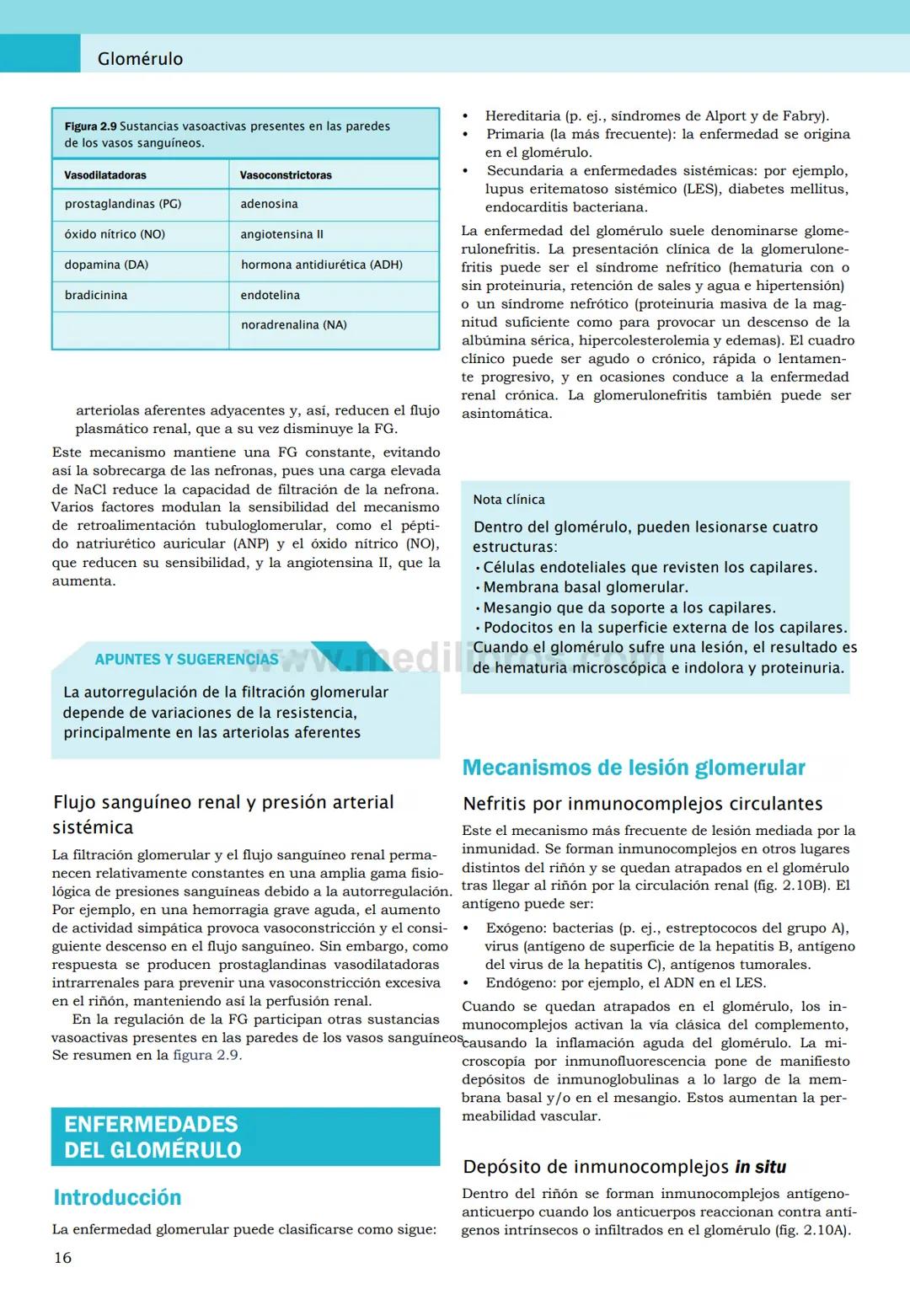 CIENCIAS BÁSICAS
4ª edición
CURSOS CRASH
Editor de la colección Dan Horton-Szar
Asesor académico: Kevin Harris
Lo esencial en
Sistema renal
