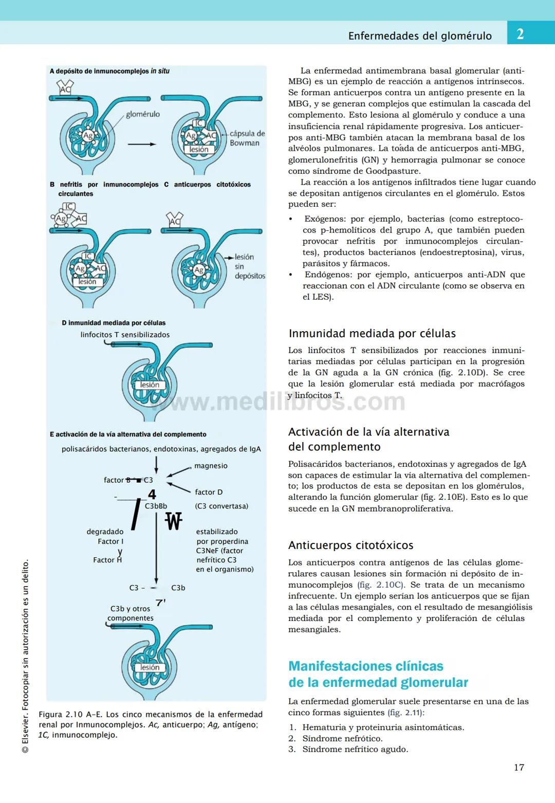 CIENCIAS BÁSICAS
4ª edición
CURSOS CRASH
Editor de la colección Dan Horton-Szar
Asesor académico: Kevin Harris
Lo esencial en
Sistema renal