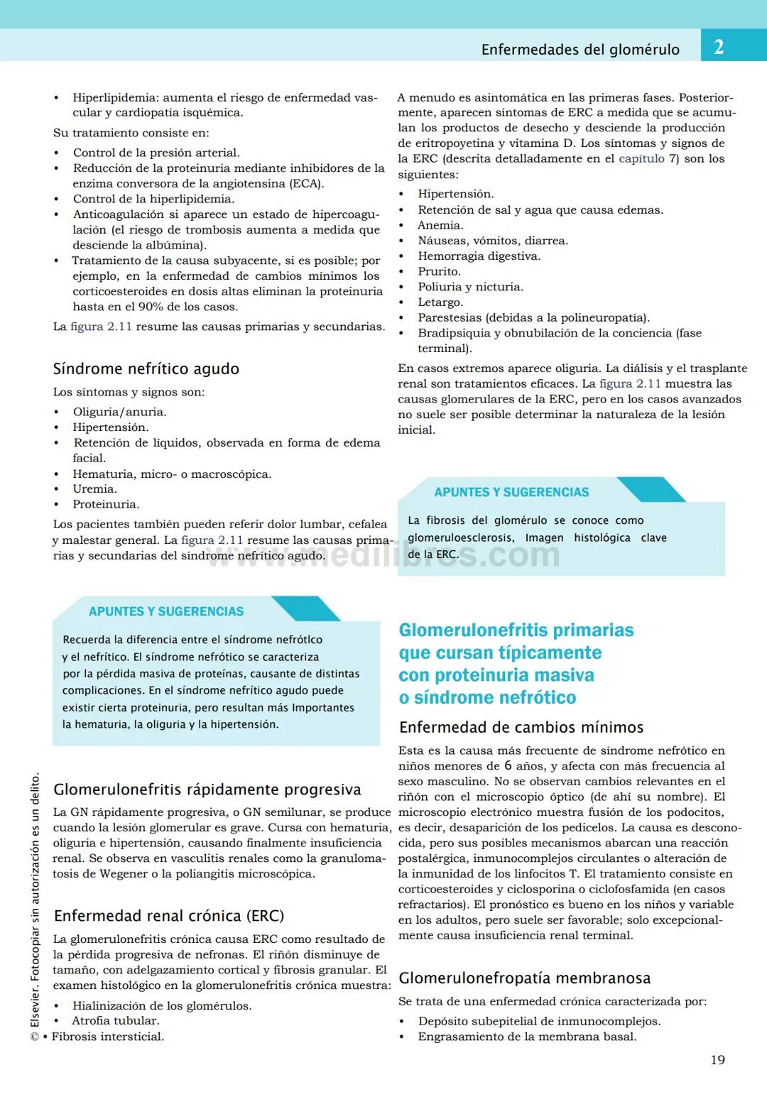 CIENCIAS BÁSICAS
4ª edición
CURSOS CRASH
Editor de la colección Dan Horton-Szar
Asesor académico: Kevin Harris
Lo esencial en
Sistema renal