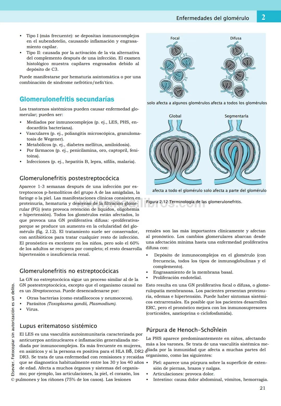 CIENCIAS BÁSICAS
4ª edición
CURSOS CRASH
Editor de la colección Dan Horton-Szar
Asesor académico: Kevin Harris
Lo esencial en
Sistema renal