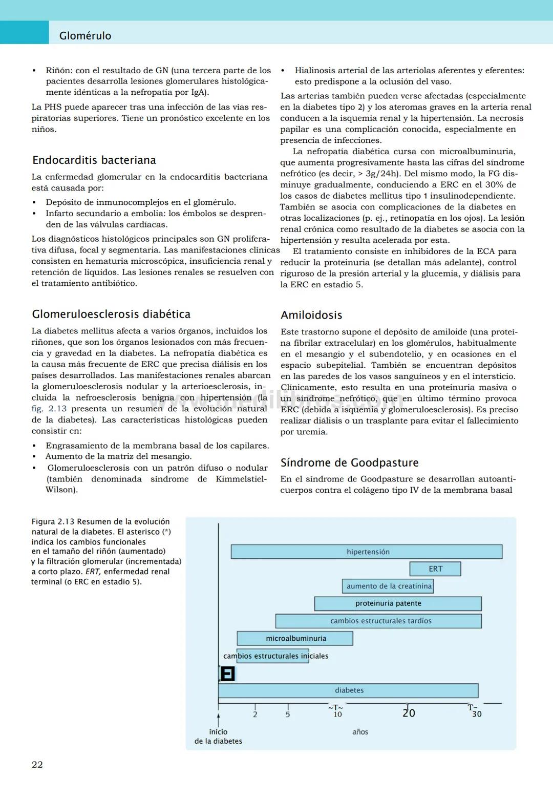 CIENCIAS BÁSICAS
4ª edición
CURSOS CRASH
Editor de la colección Dan Horton-Szar
Asesor académico: Kevin Harris
Lo esencial en
Sistema renal