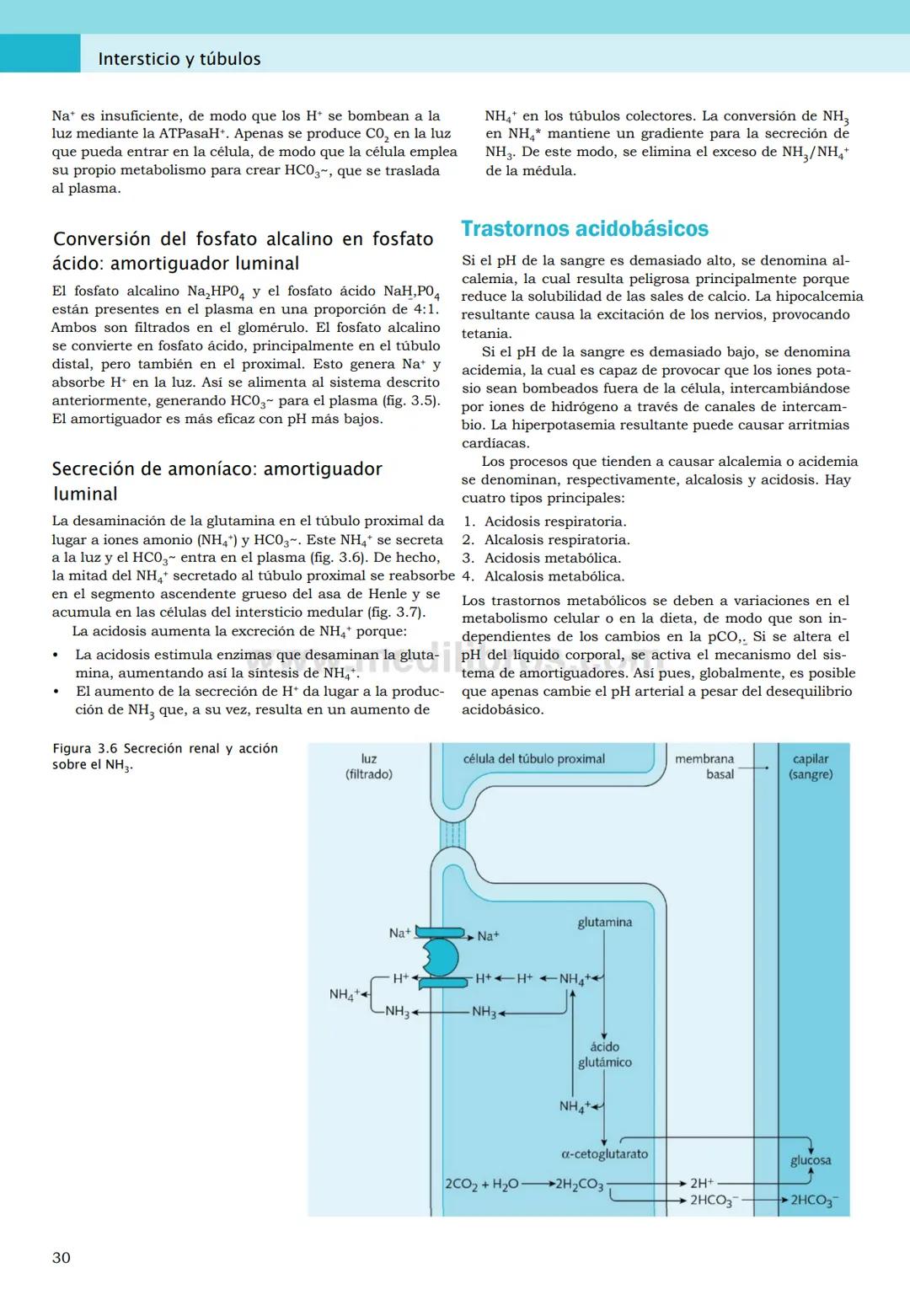 CIENCIAS BÁSICAS
4ª edición
CURSOS CRASH
Editor de la colección Dan Horton-Szar
Asesor académico: Kevin Harris
Lo esencial en
Sistema renal