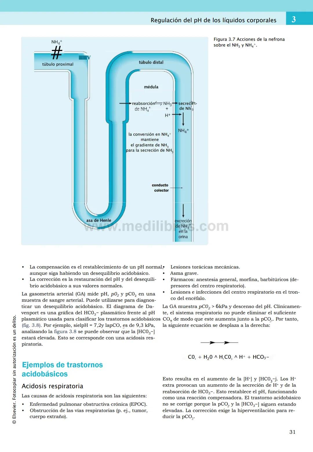 CIENCIAS BÁSICAS
4ª edición
CURSOS CRASH
Editor de la colección Dan Horton-Szar
Asesor académico: Kevin Harris
Lo esencial en
Sistema renal