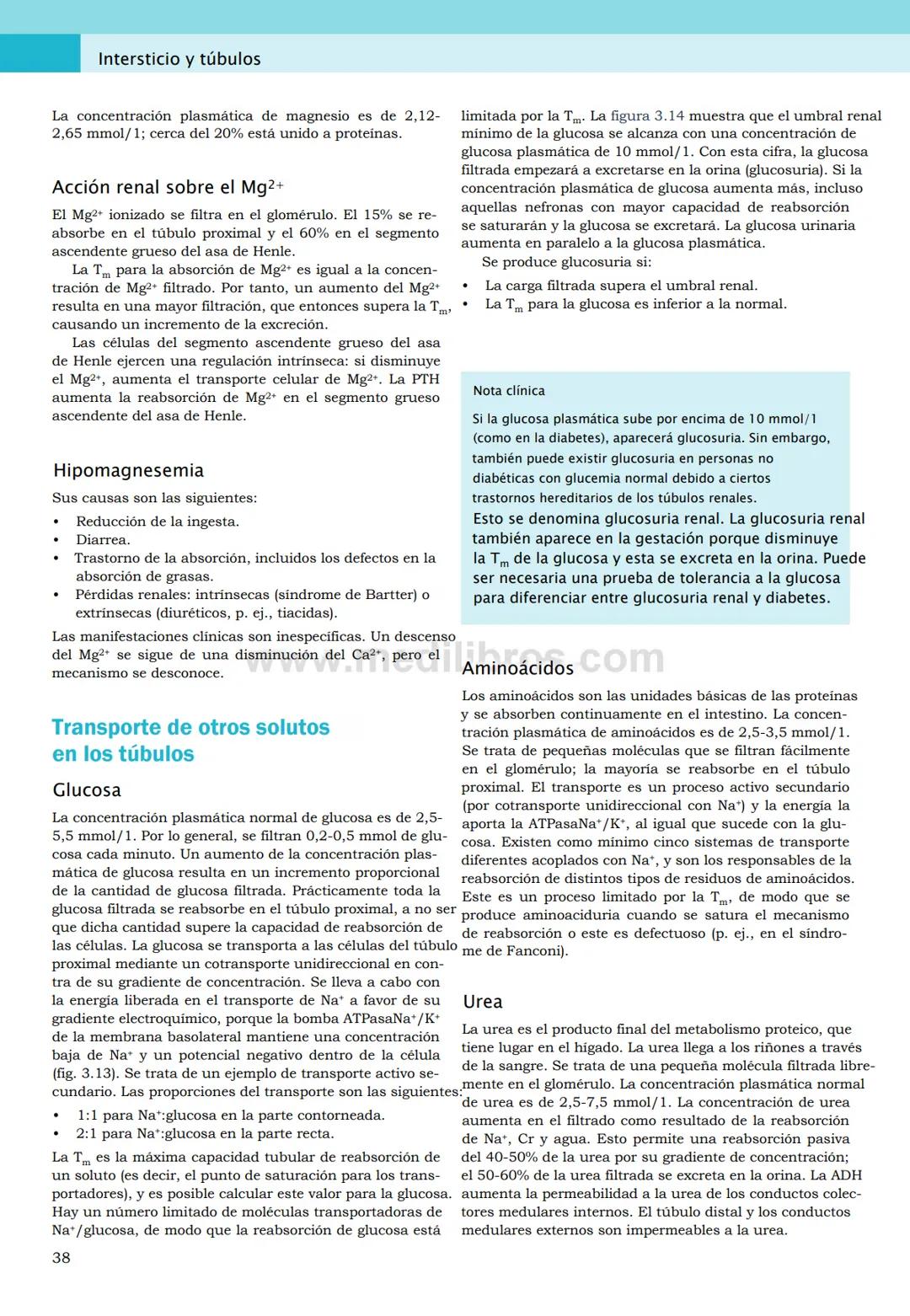 CIENCIAS BÁSICAS
4ª edición
CURSOS CRASH
Editor de la colección Dan Horton-Szar
Asesor académico: Kevin Harris
Lo esencial en
Sistema renal
