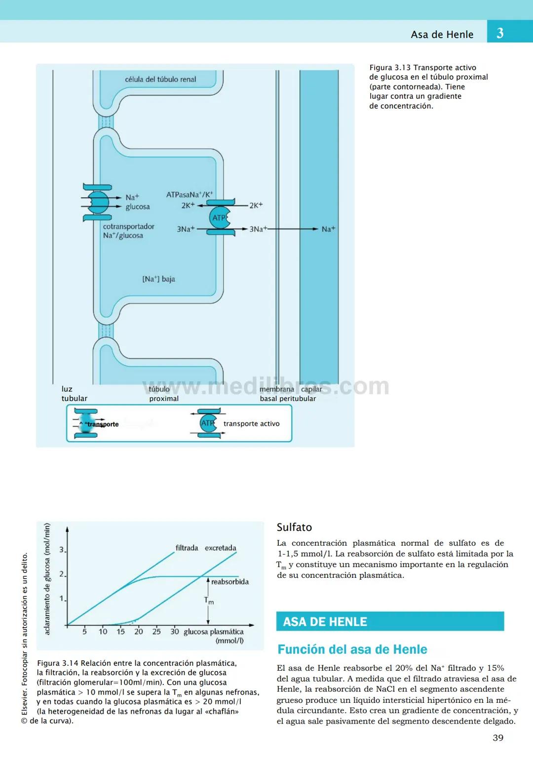 CIENCIAS BÁSICAS
4ª edición
CURSOS CRASH
Editor de la colección Dan Horton-Szar
Asesor académico: Kevin Harris
Lo esencial en
Sistema renal