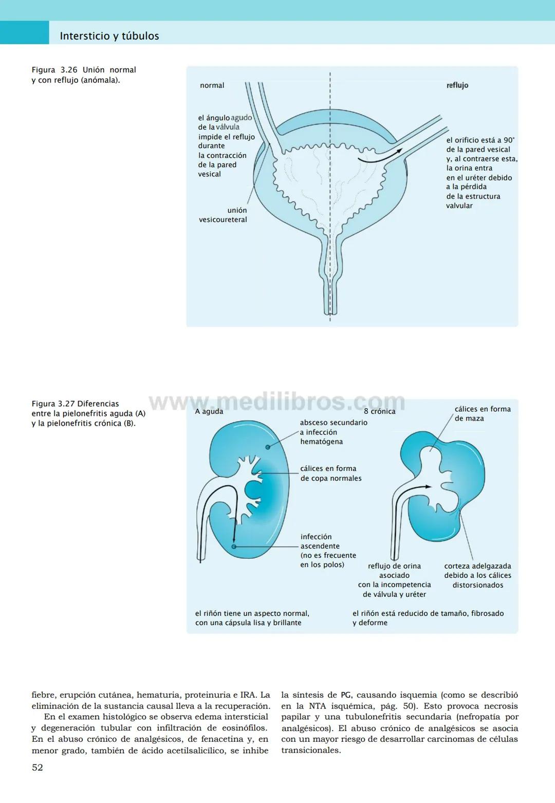 CIENCIAS BÁSICAS
4ª edición
CURSOS CRASH
Editor de la colección Dan Horton-Szar
Asesor académico: Kevin Harris
Lo esencial en
Sistema renal