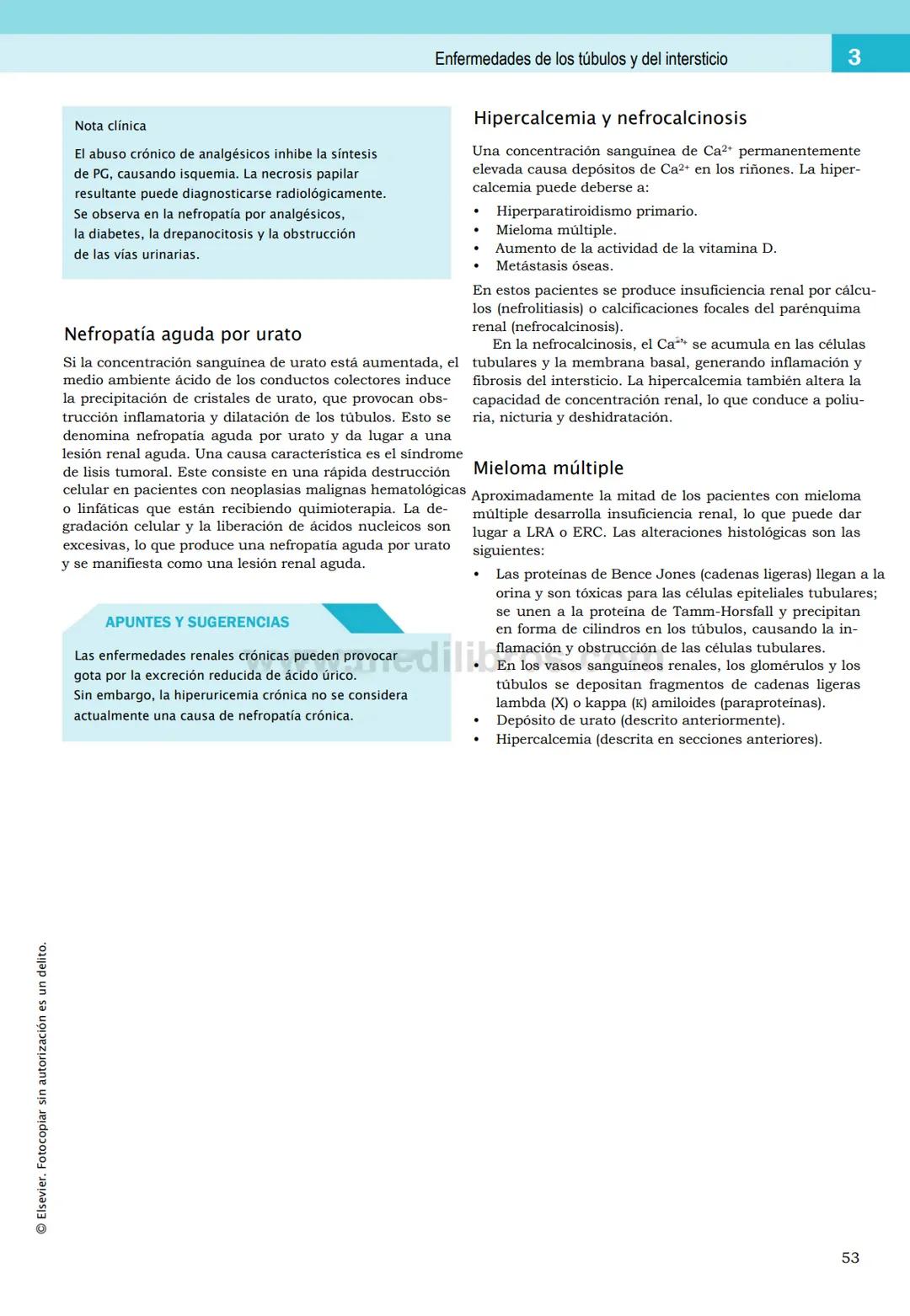 CIENCIAS BÁSICAS
4ª edición
CURSOS CRASH
Editor de la colección Dan Horton-Szar
Asesor académico: Kevin Harris
Lo esencial en
Sistema renal