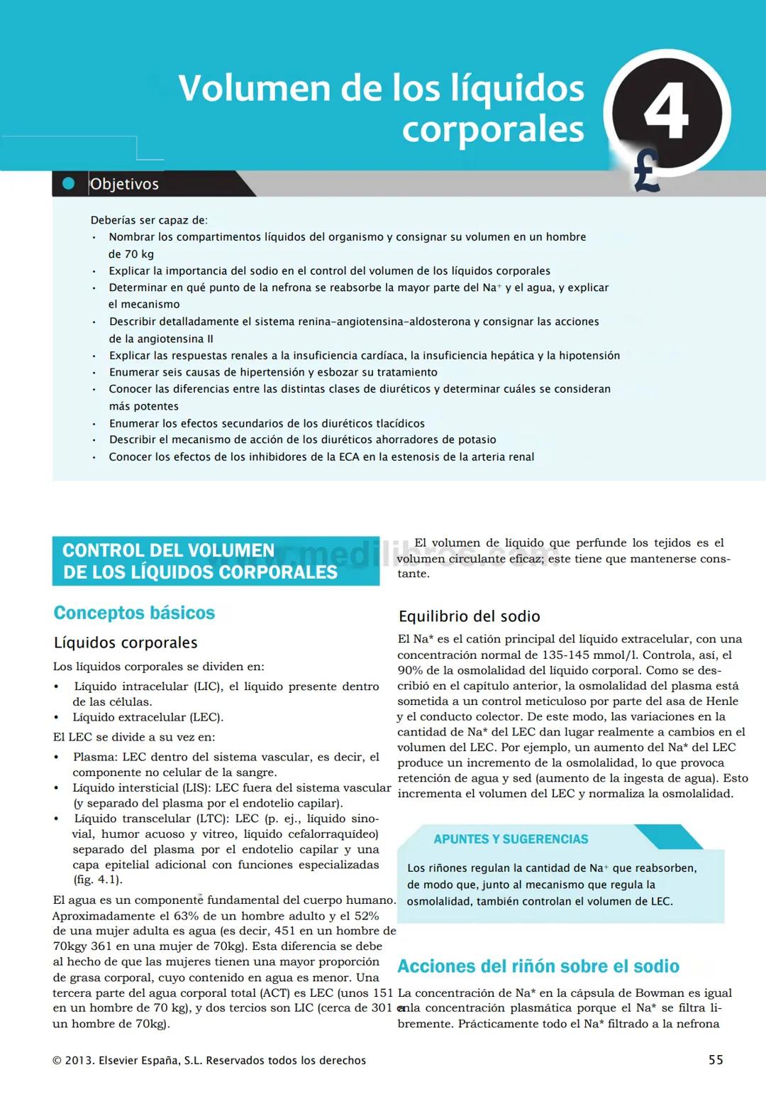 CIENCIAS BÁSICAS
4ª edición
CURSOS CRASH
Editor de la colección Dan Horton-Szar
Asesor académico: Kevin Harris
Lo esencial en
Sistema renal