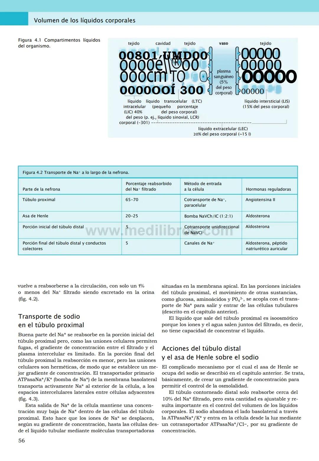 CIENCIAS BÁSICAS
4ª edición
CURSOS CRASH
Editor de la colección Dan Horton-Szar
Asesor académico: Kevin Harris
Lo esencial en
Sistema renal
