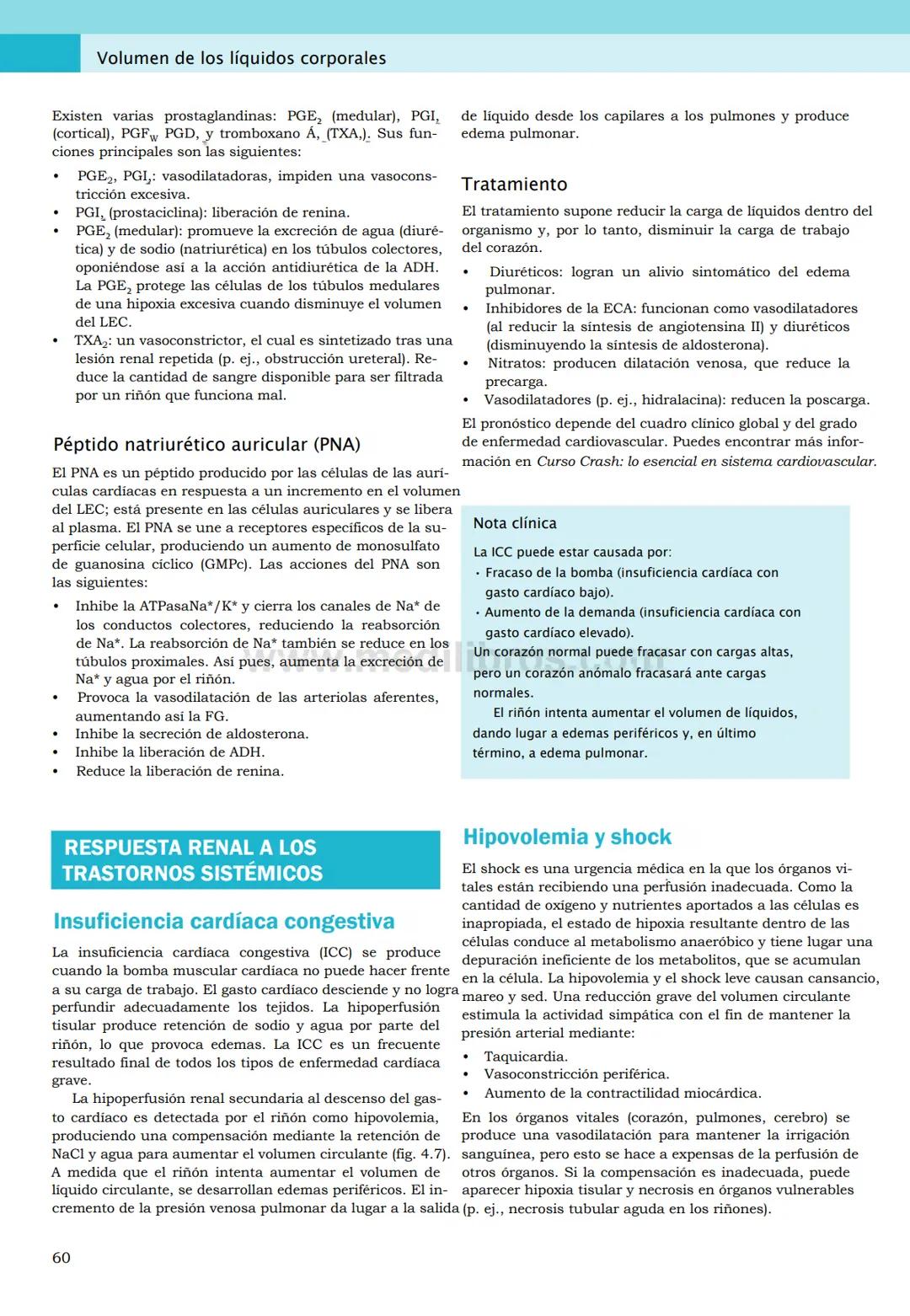 CIENCIAS BÁSICAS
4ª edición
CURSOS CRASH
Editor de la colección Dan Horton-Szar
Asesor académico: Kevin Harris
Lo esencial en
Sistema renal