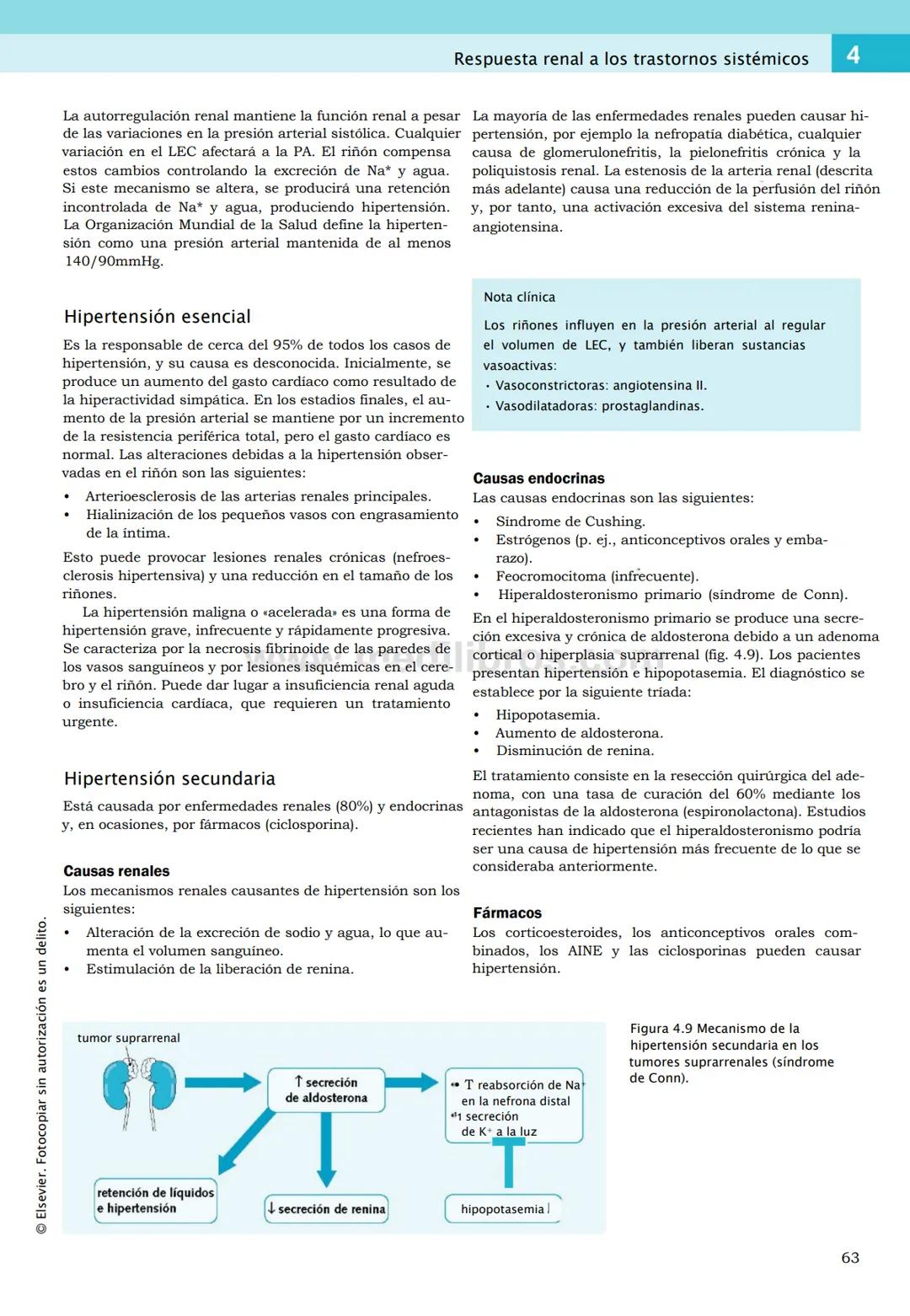 CIENCIAS BÁSICAS
4ª edición
CURSOS CRASH
Editor de la colección Dan Horton-Szar
Asesor académico: Kevin Harris
Lo esencial en
Sistema renal