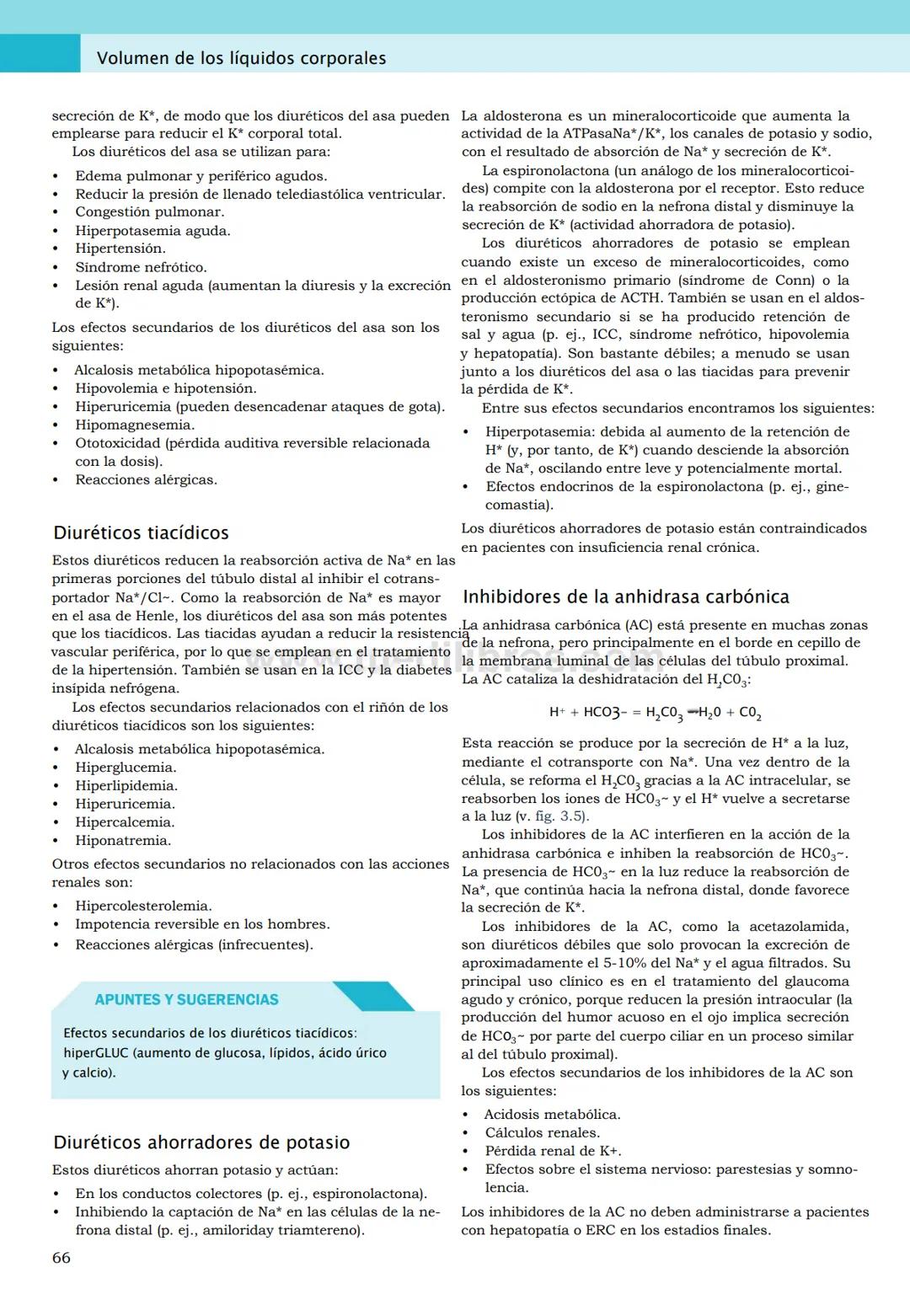 CIENCIAS BÁSICAS
4ª edición
CURSOS CRASH
Editor de la colección Dan Horton-Szar
Asesor académico: Kevin Harris
Lo esencial en
Sistema renal