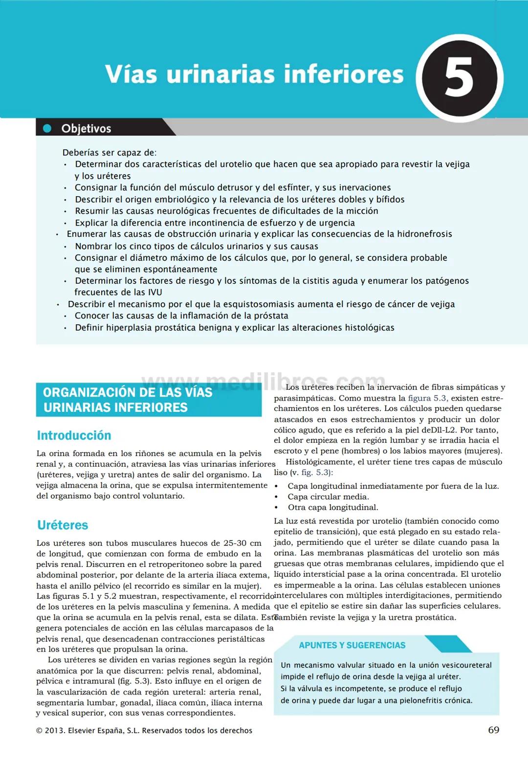 CIENCIAS BÁSICAS
4ª edición
CURSOS CRASH
Editor de la colección Dan Horton-Szar
Asesor académico: Kevin Harris
Lo esencial en
Sistema renal