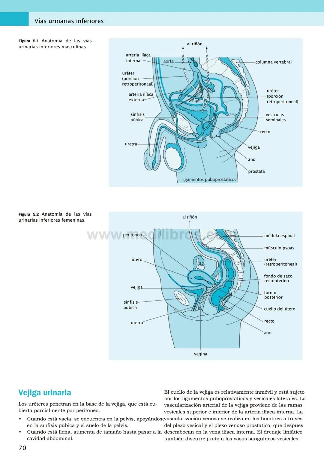 CIENCIAS BÁSICAS
4ª edición
CURSOS CRASH
Editor de la colección Dan Horton-Szar
Asesor académico: Kevin Harris
Lo esencial en
Sistema renal
