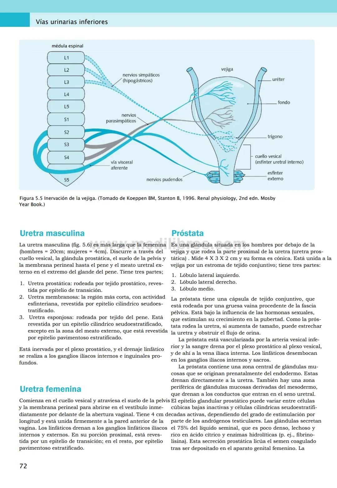 CIENCIAS BÁSICAS
4ª edición
CURSOS CRASH
Editor de la colección Dan Horton-Szar
Asesor académico: Kevin Harris
Lo esencial en
Sistema renal