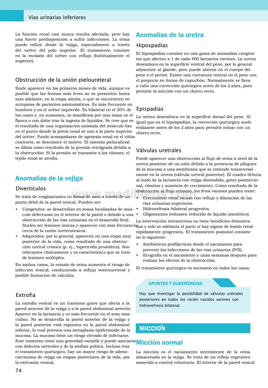 CIENCIAS BÁSICAS
4ª edición
CURSOS CRASH
Editor de la colección Dan Horton-Szar
Asesor académico: Kevin Harris
Lo esencial en
Sistema renal